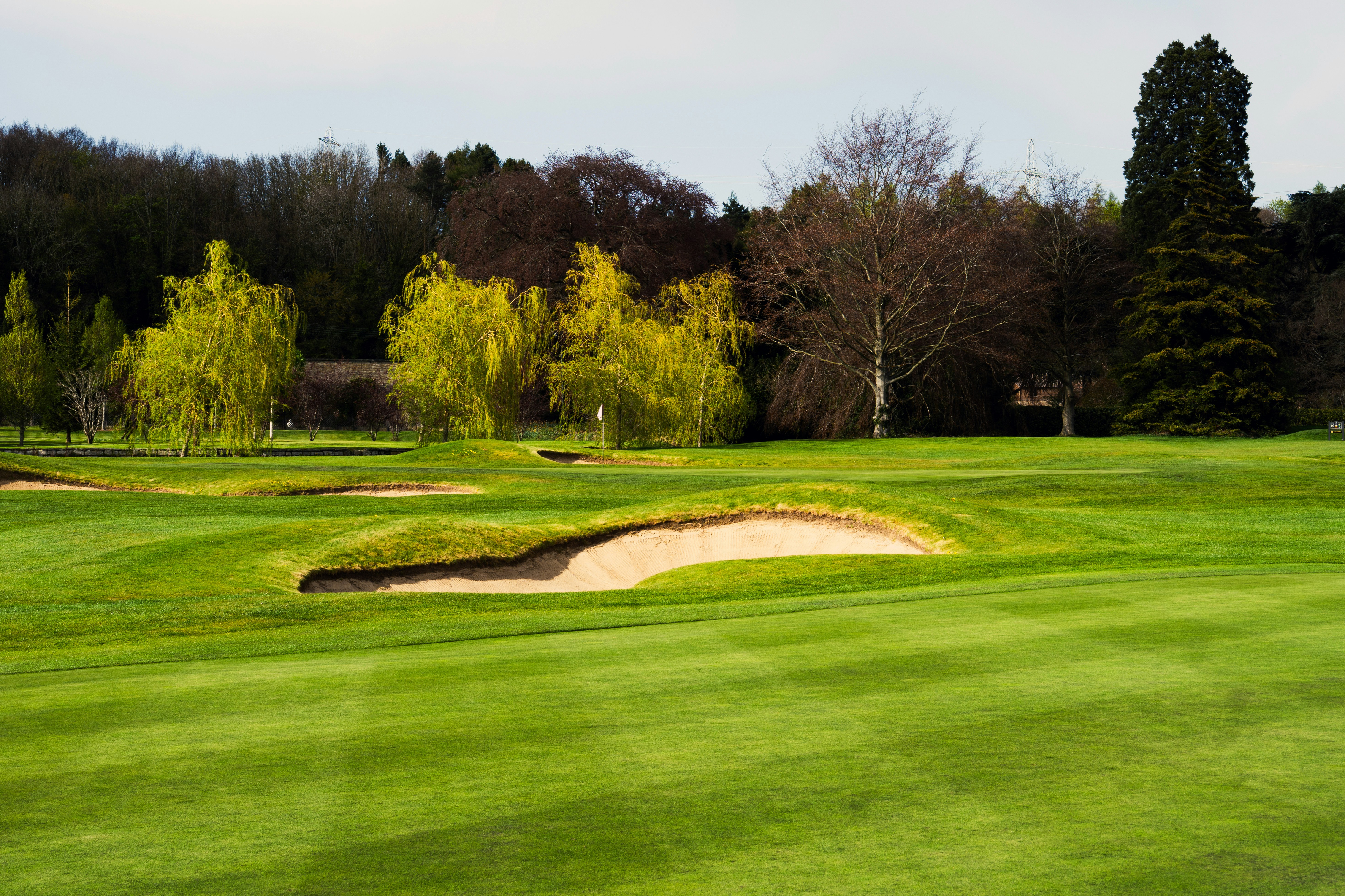 A golf course with sand traps and trees