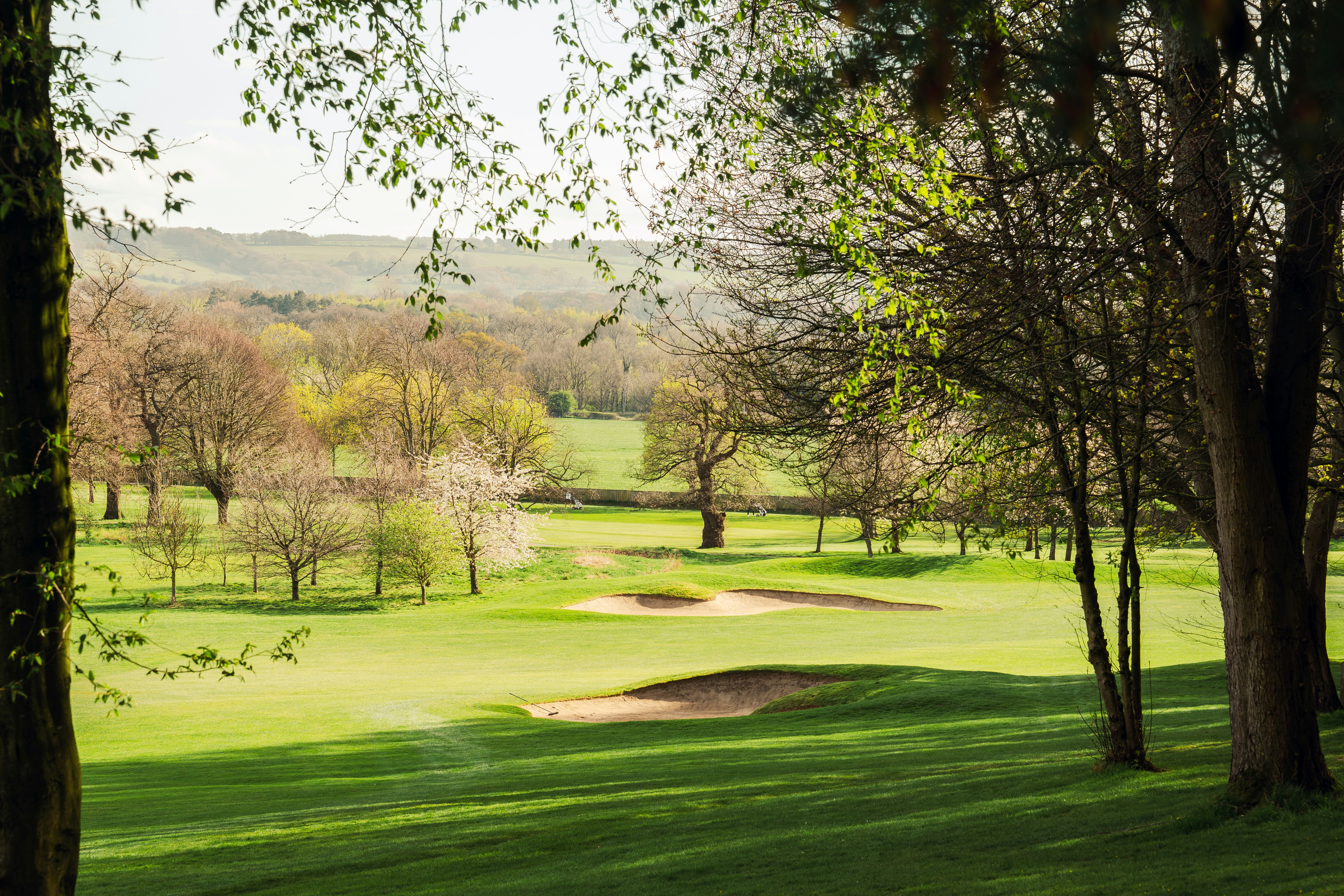 Lush green golf course with trees and sand traps.