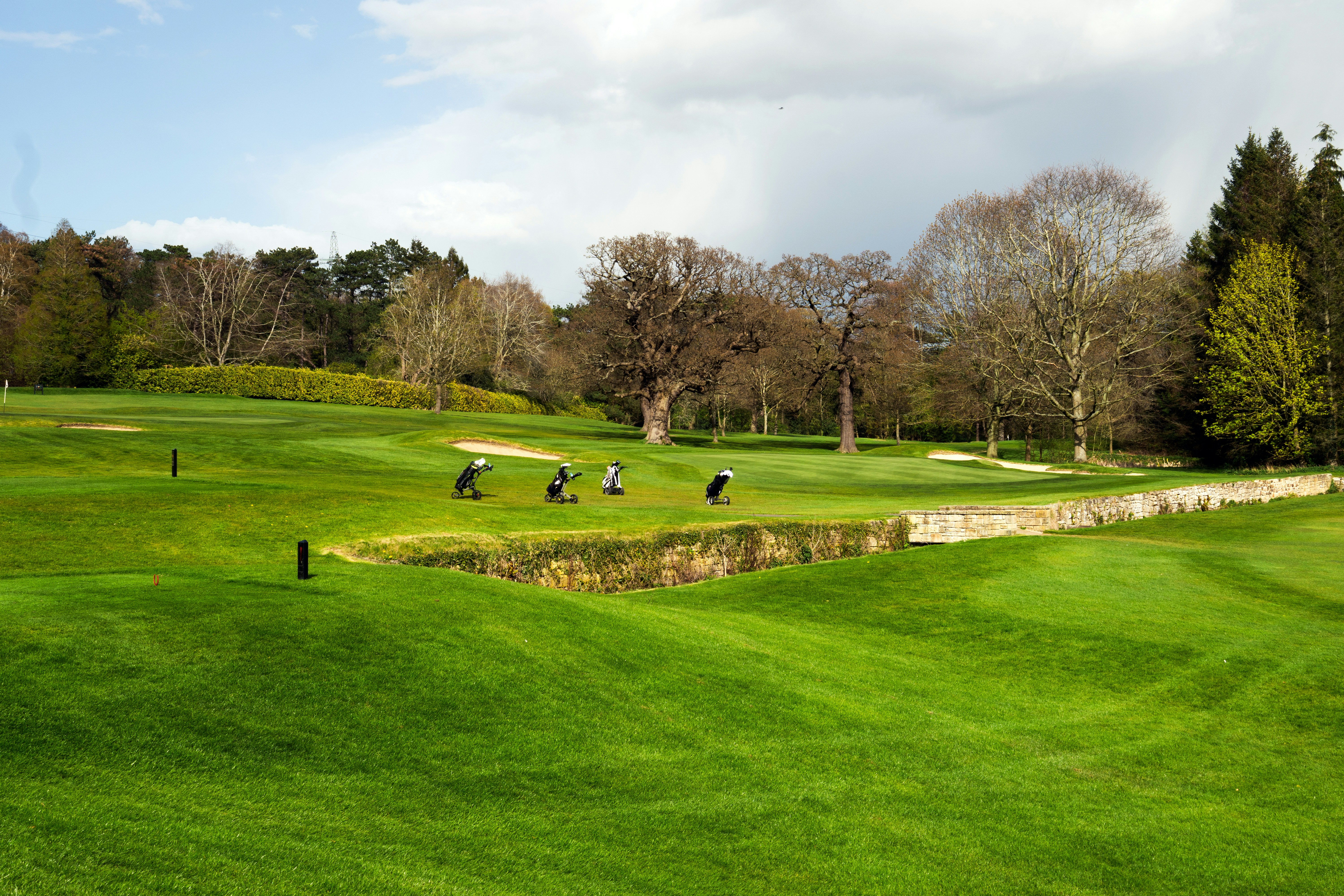 Results from the green post image