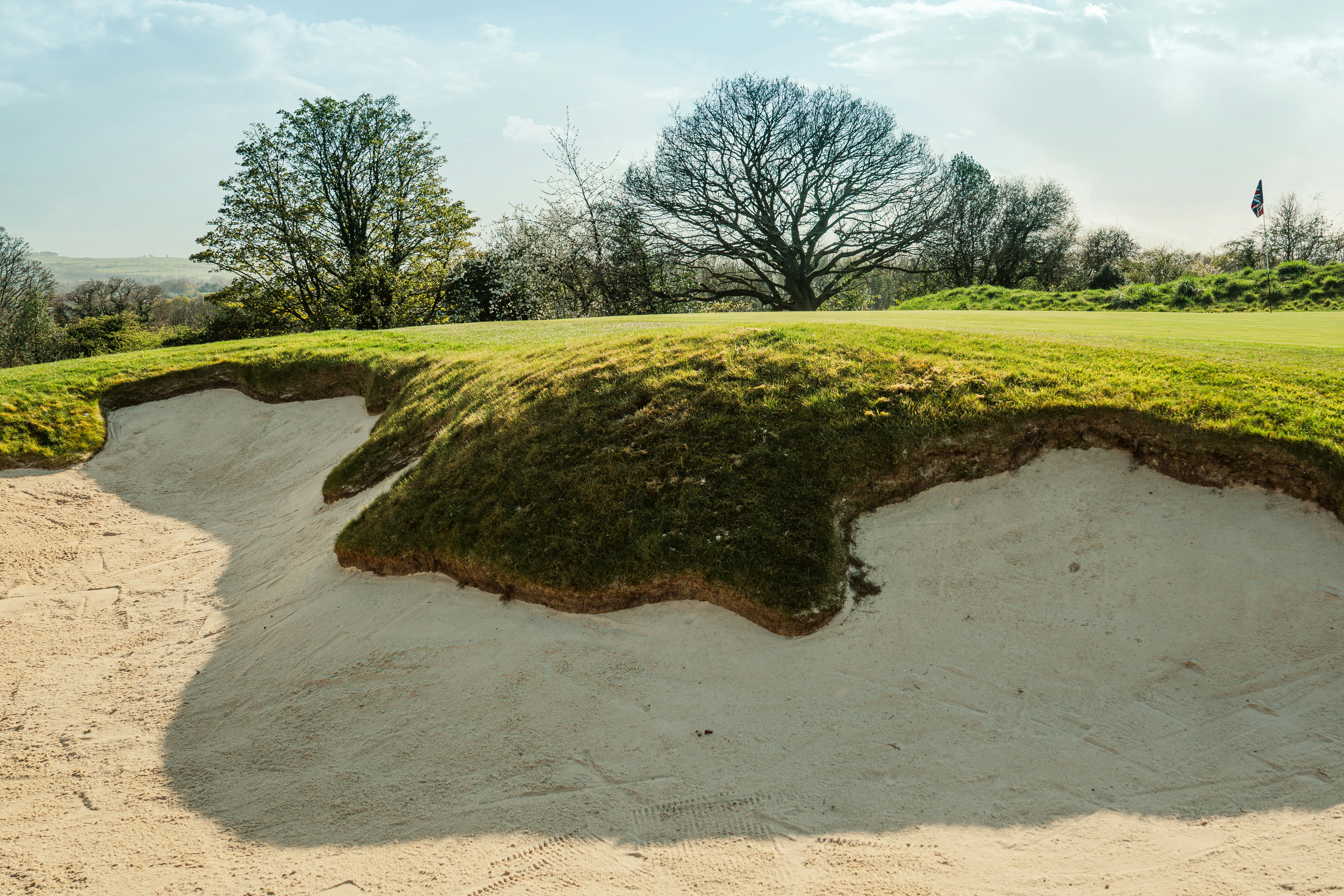 A sandy golf course bunker with green grass and trees