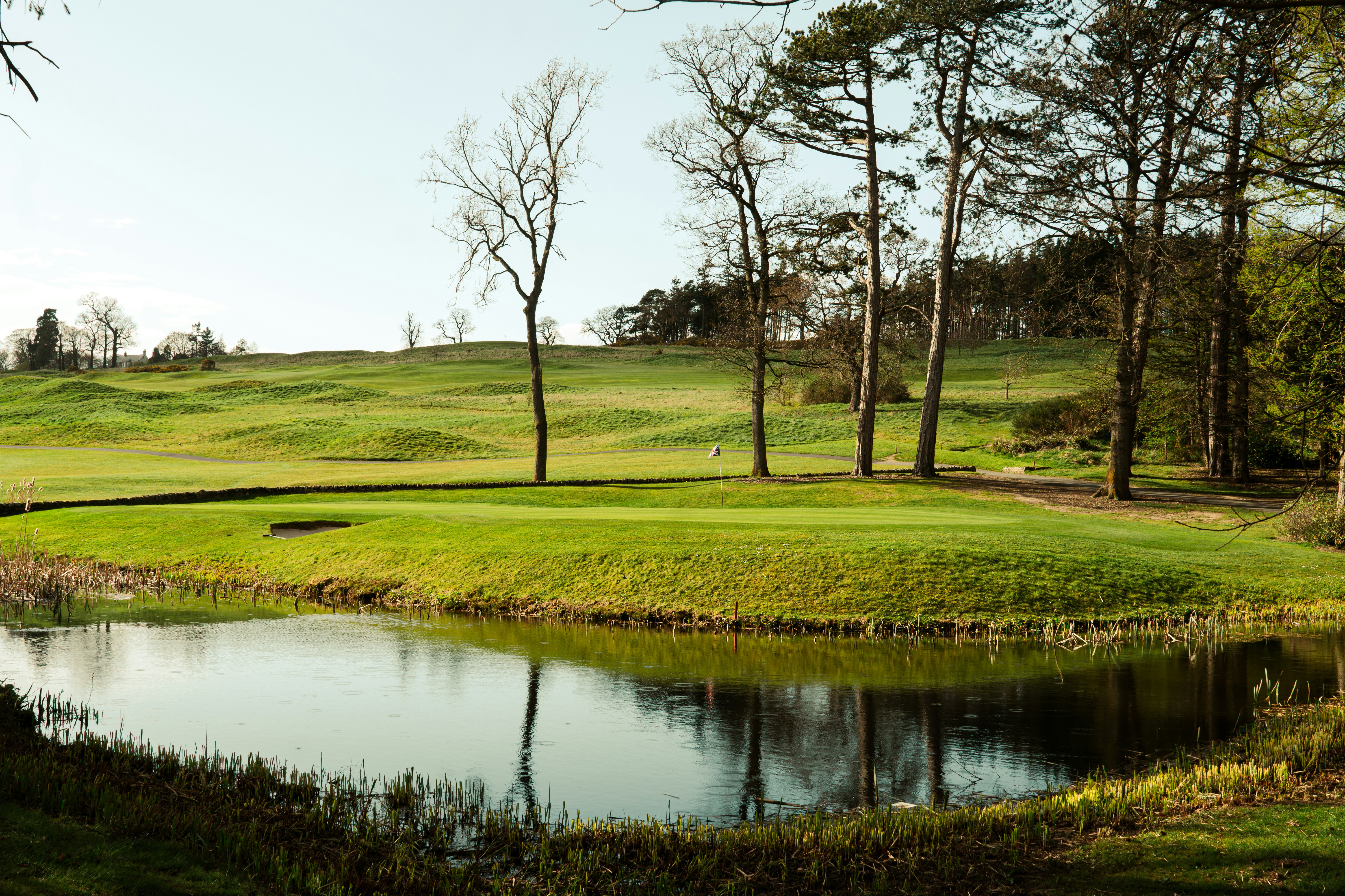A serene golf course with a pond and trees