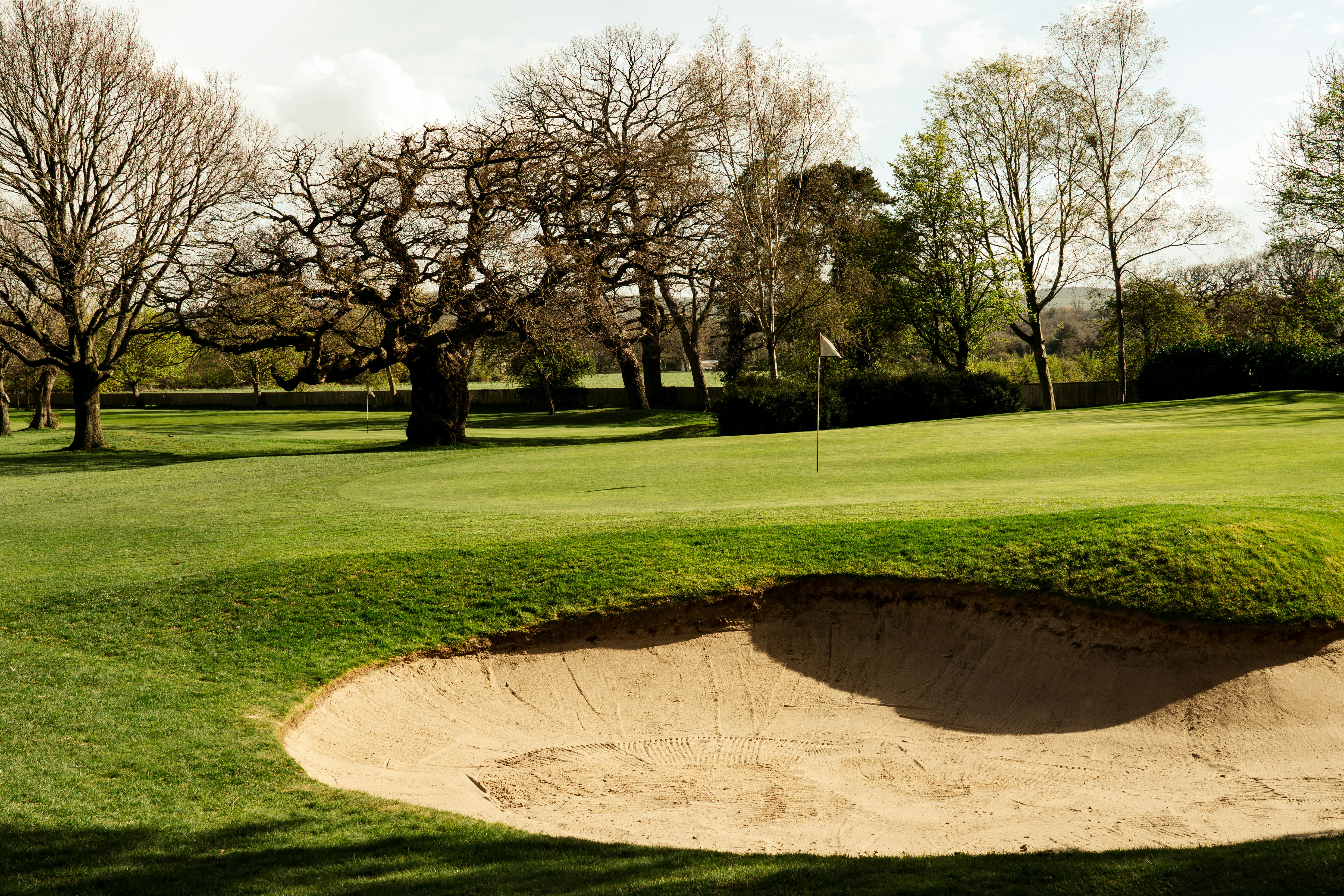 A sand trap on a green golf course