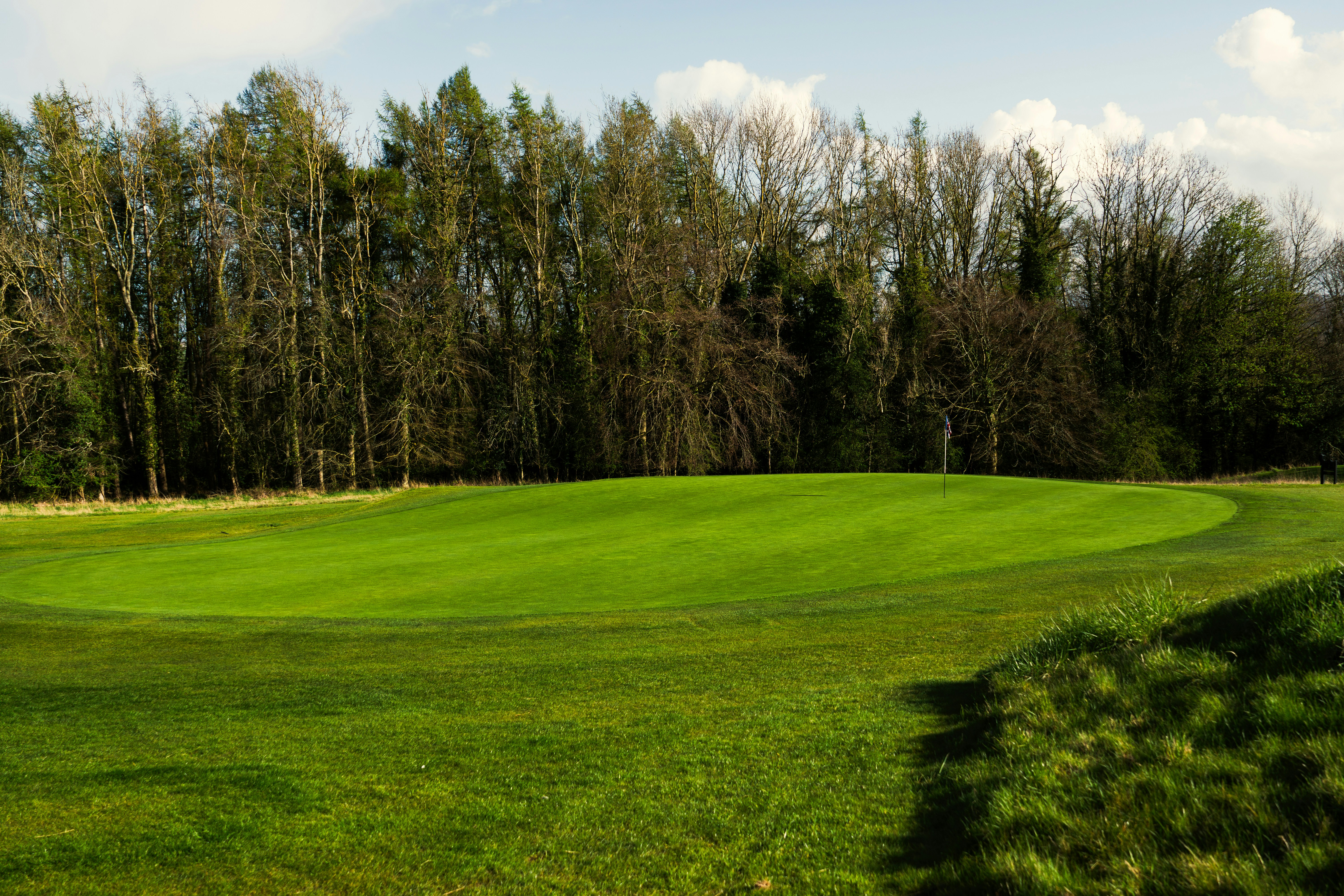 A lush green golf course with trees in the background