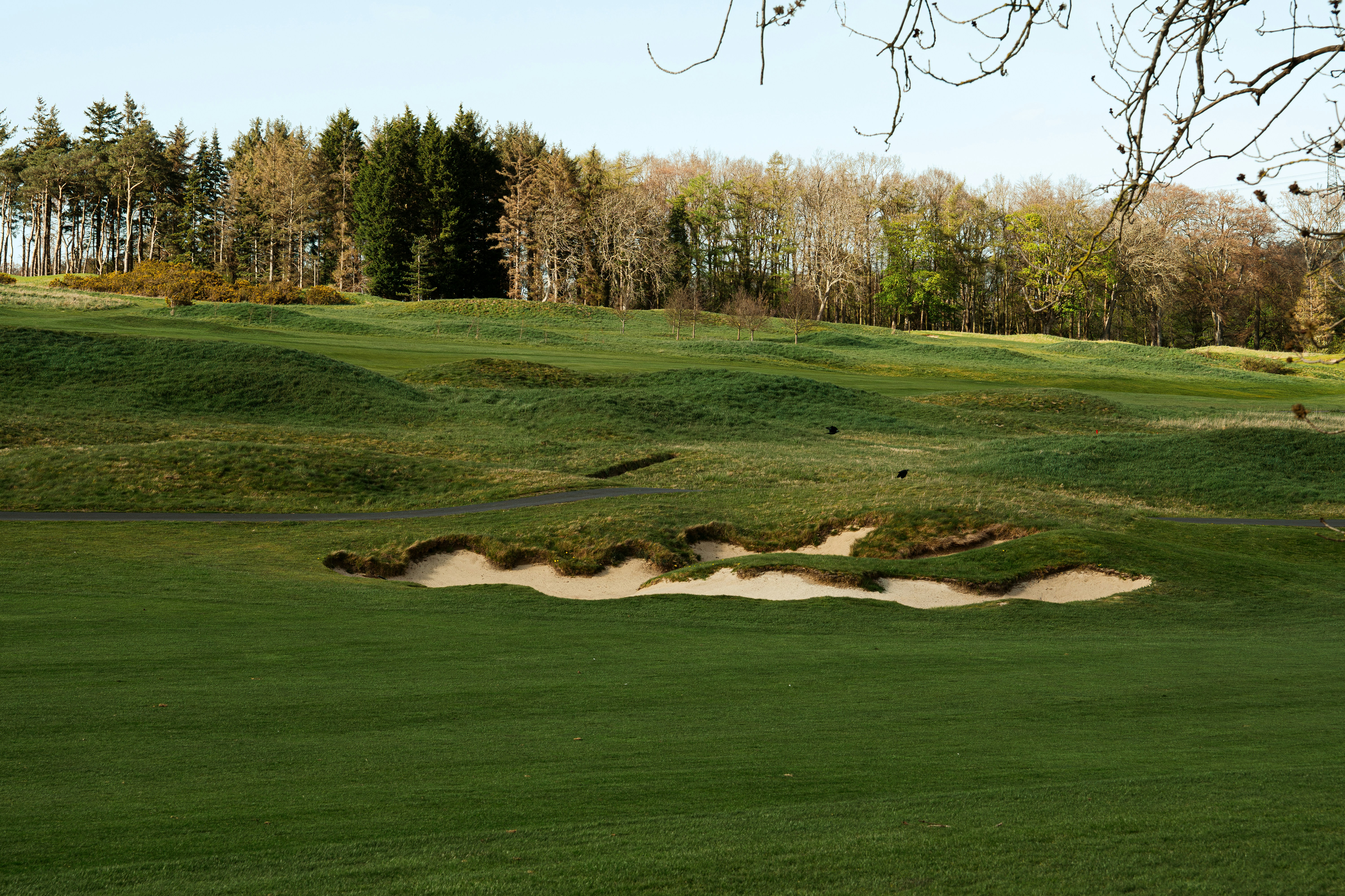 A golf course with sand traps and trees