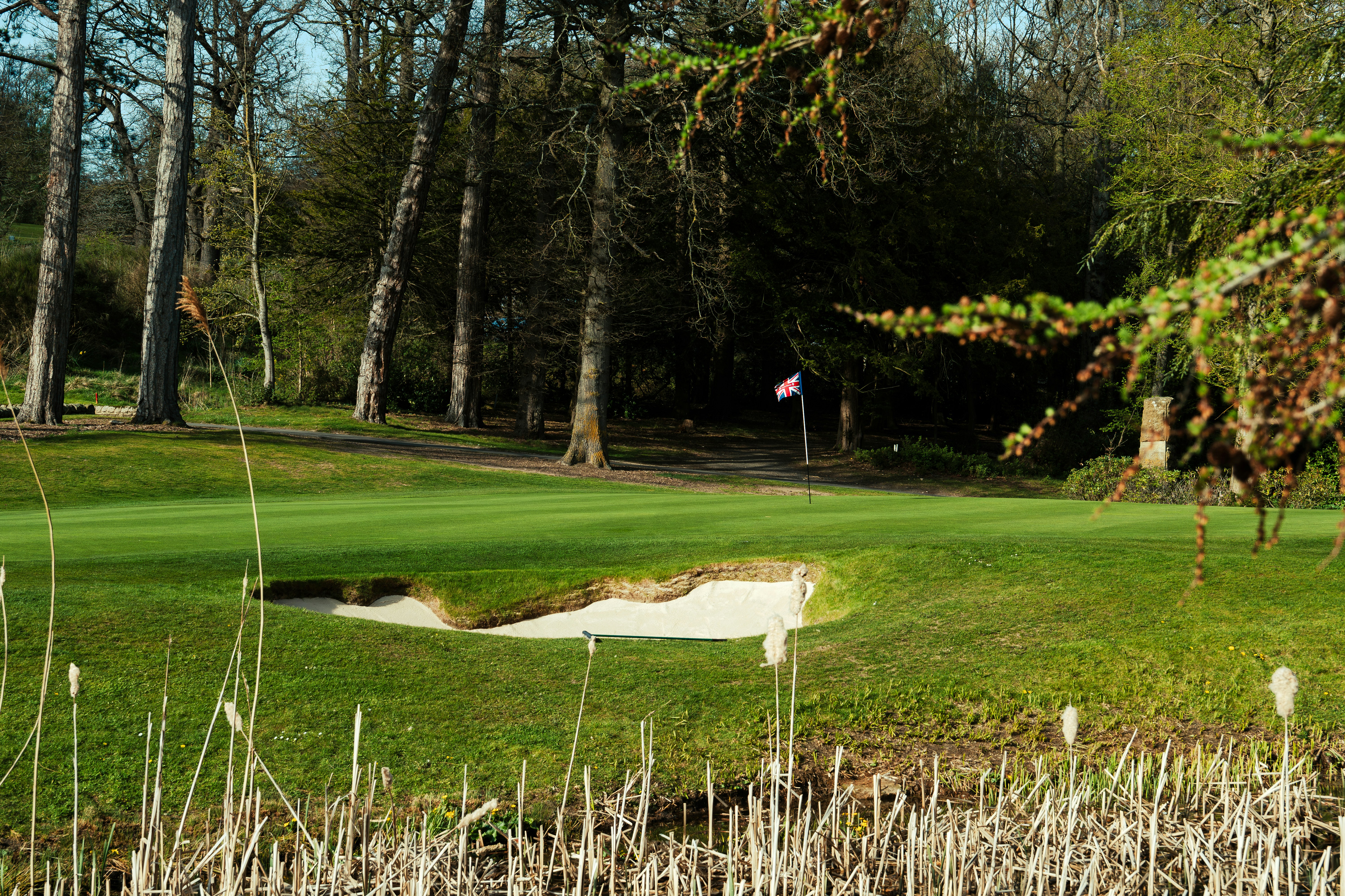 Golf course with sand trap and flag