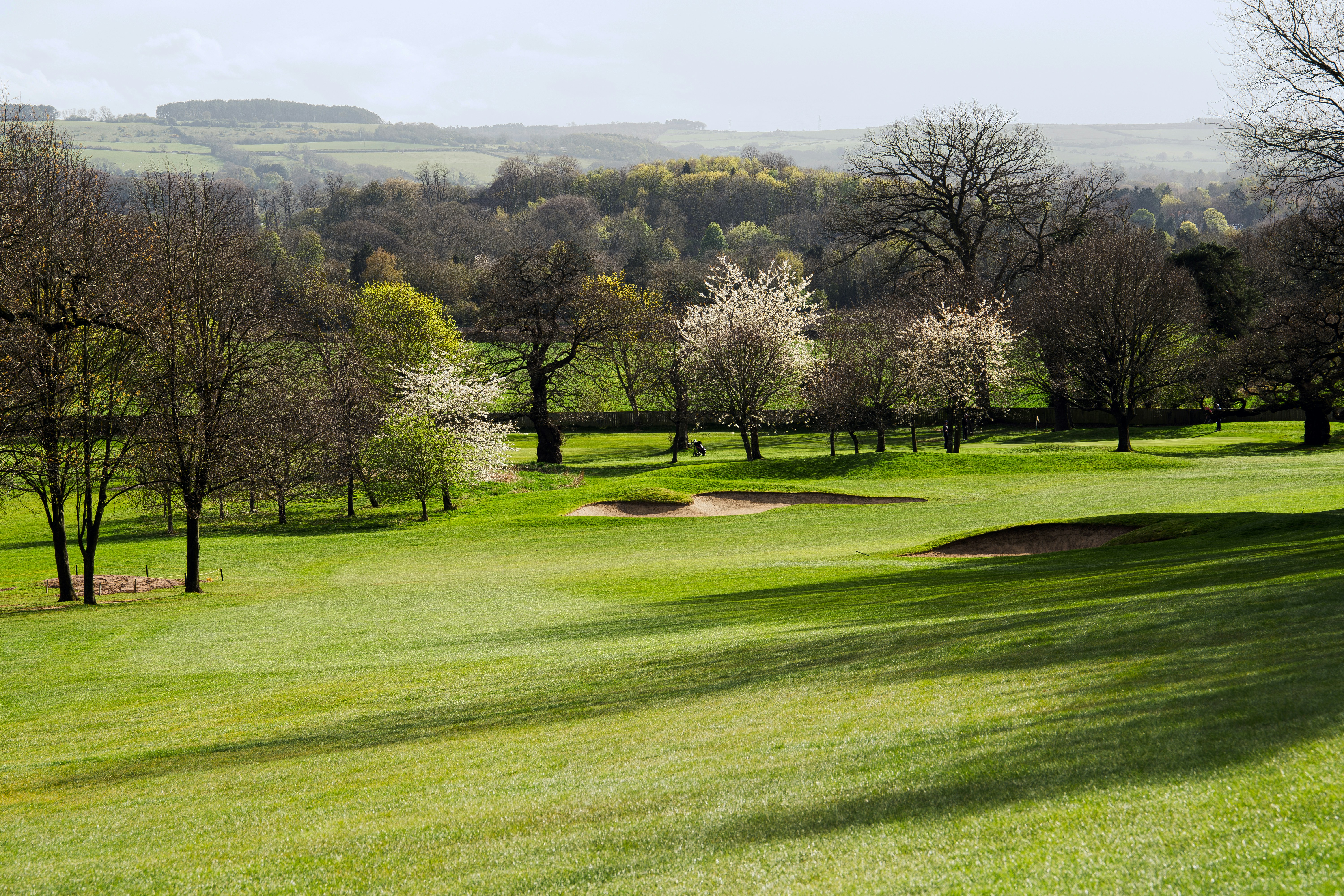 Ardmore Golf Course