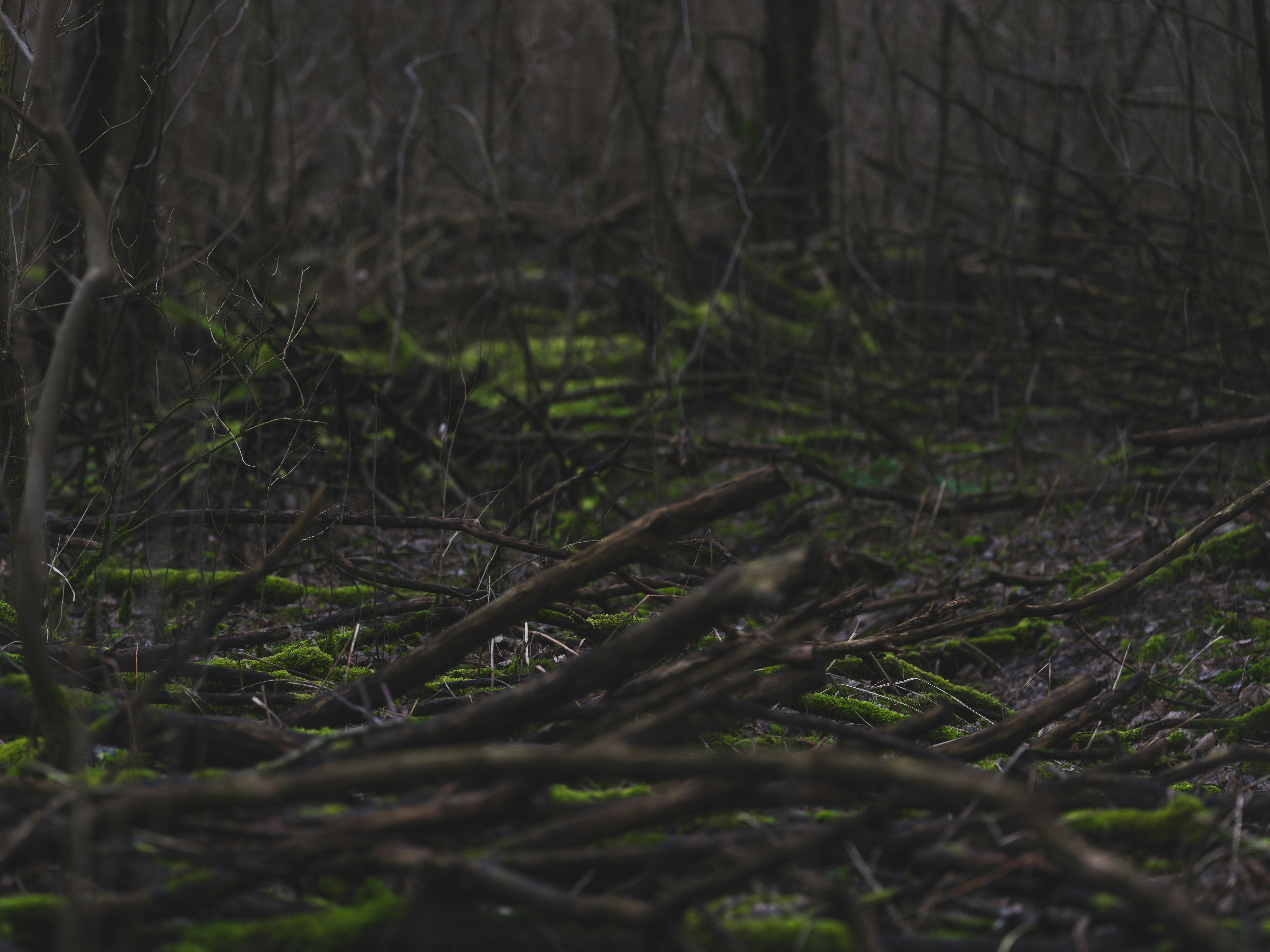 Photo by haberdoedas