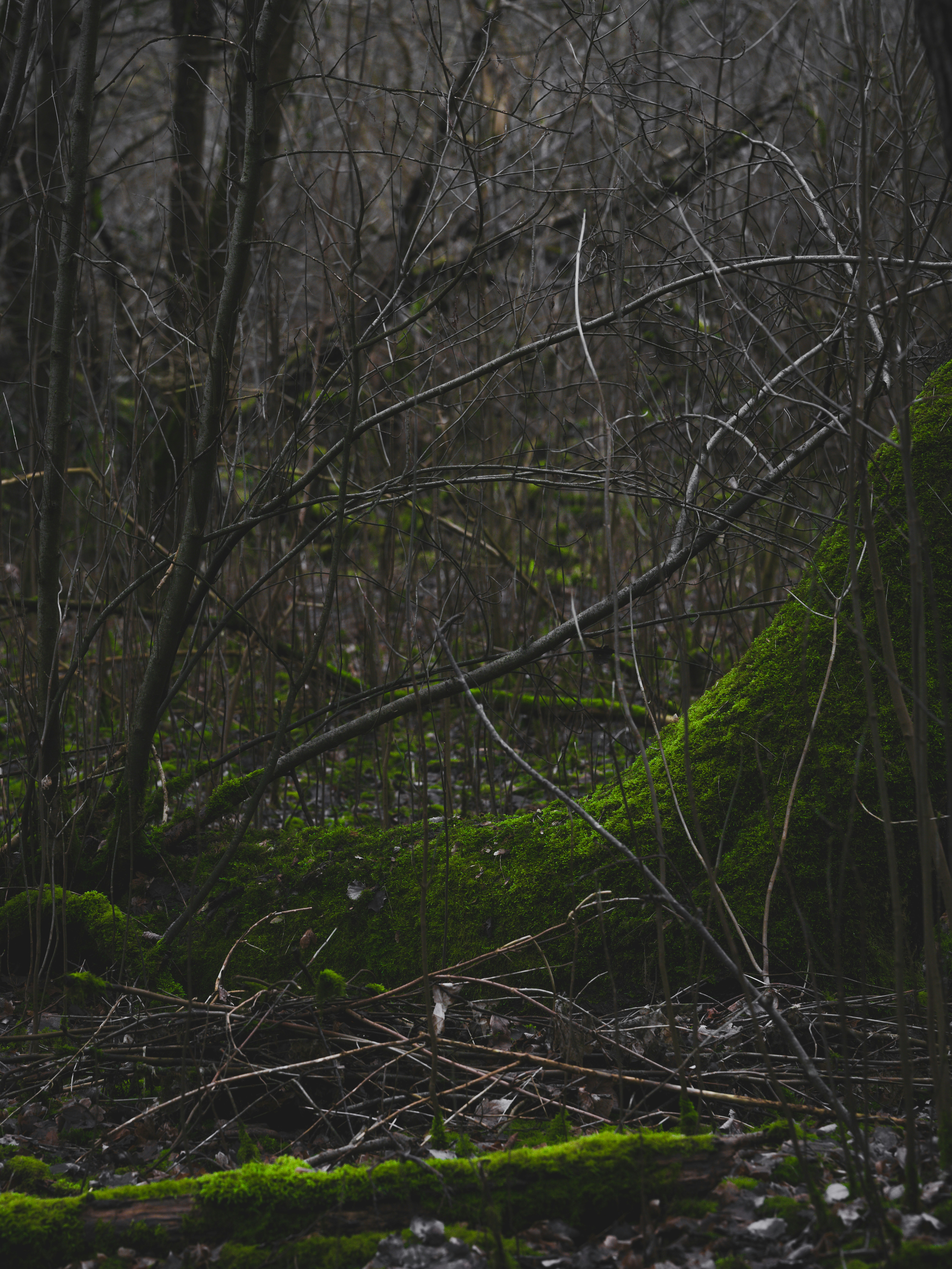 Photo by haberdoedas