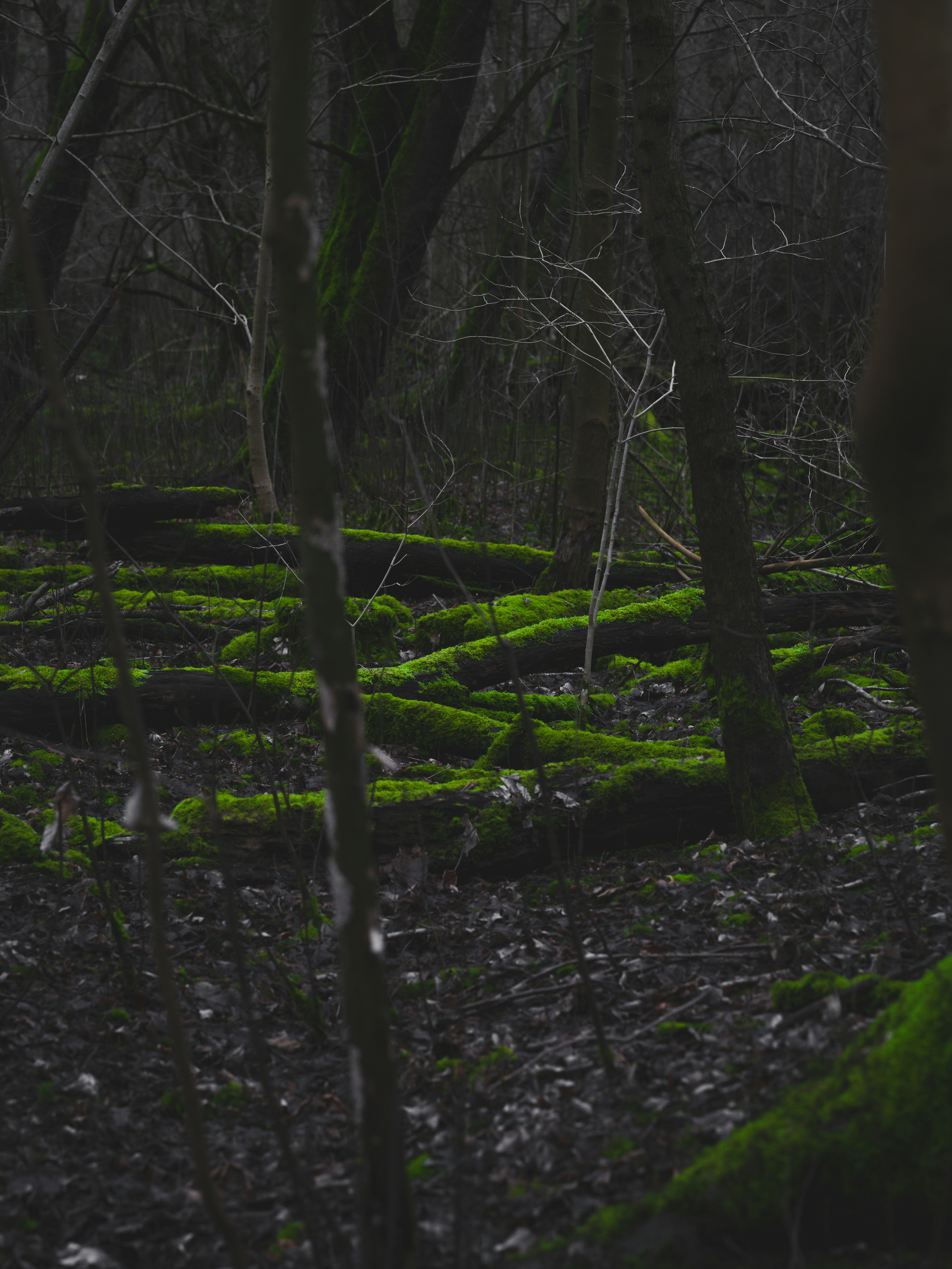 Photo by haberdoedas