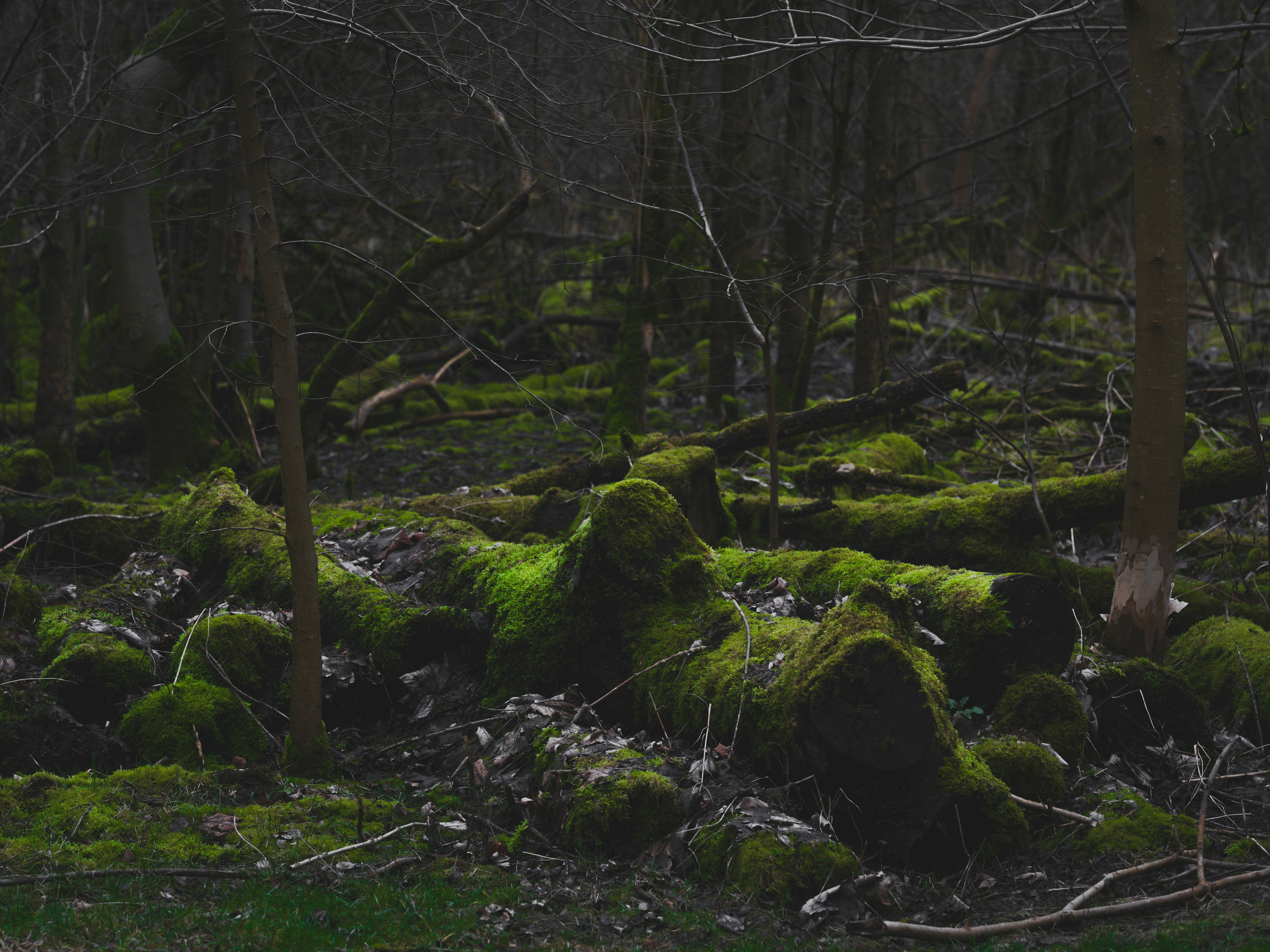 Photo by haberdoedas