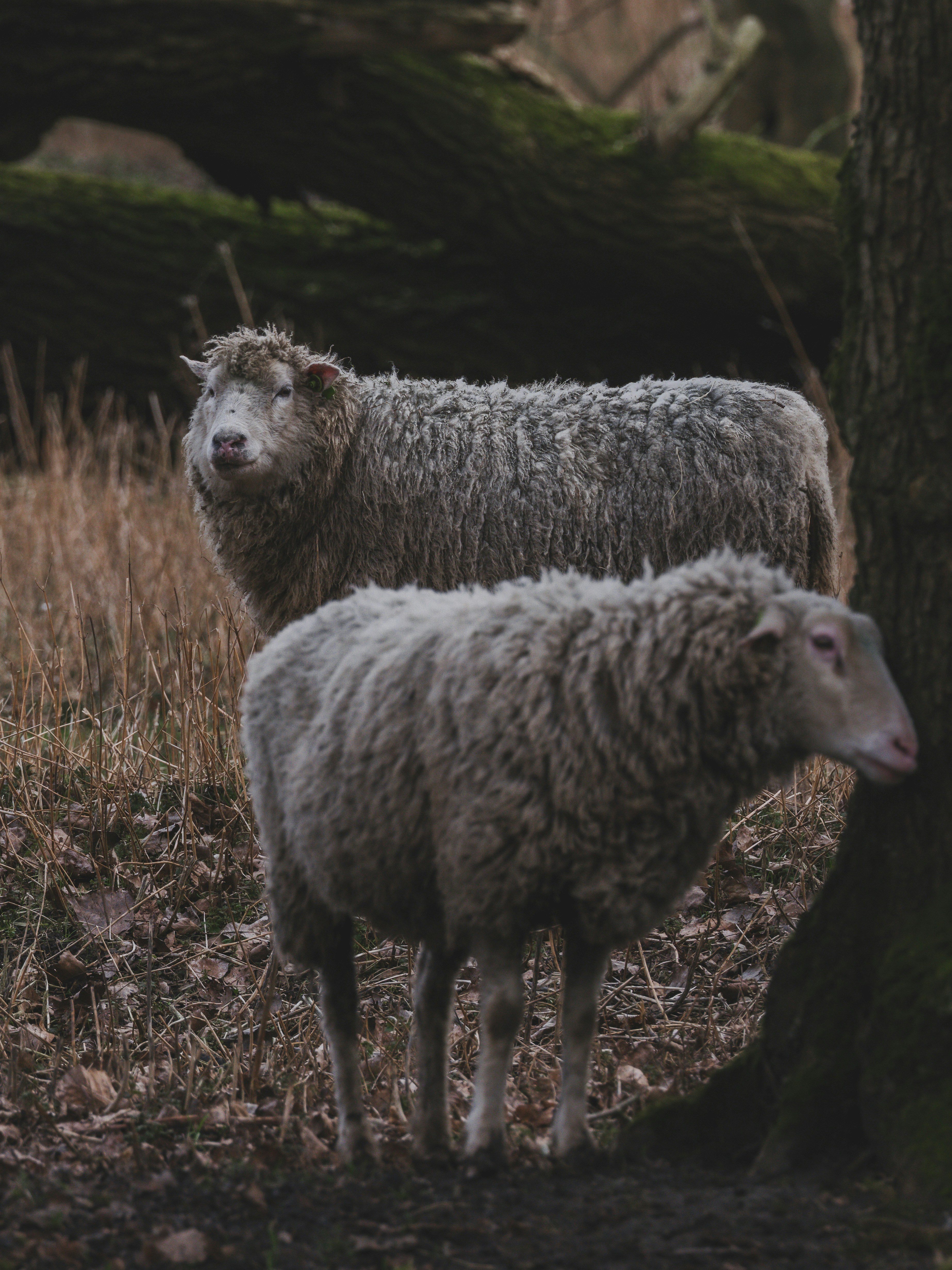 Photo by haberdoedas