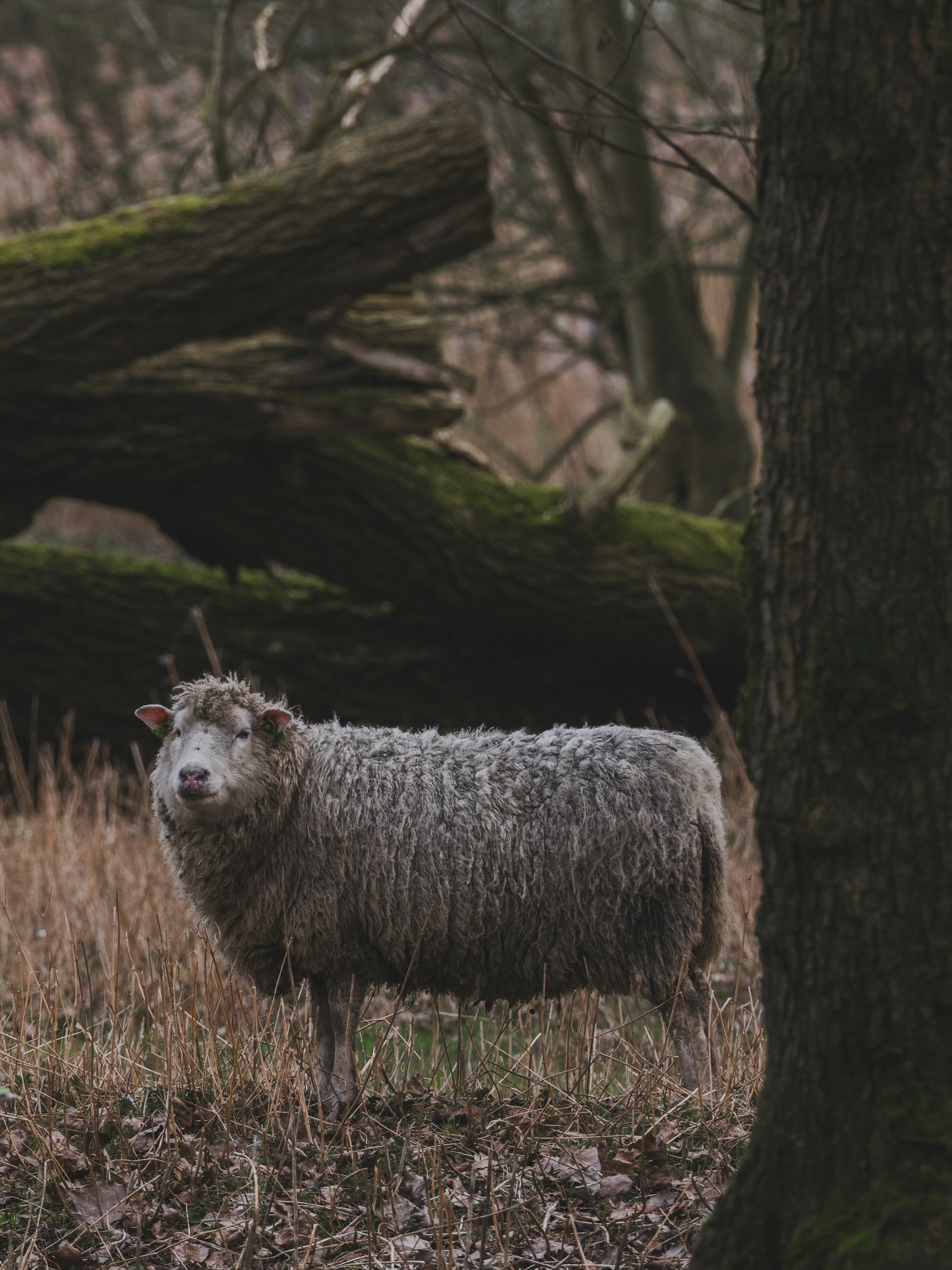 Photo by haberdoedas