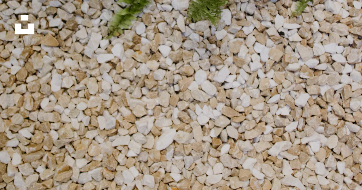 Stone Path Texture Png Green ferns growing above light-colored gravel - Free Photo on Unsplash