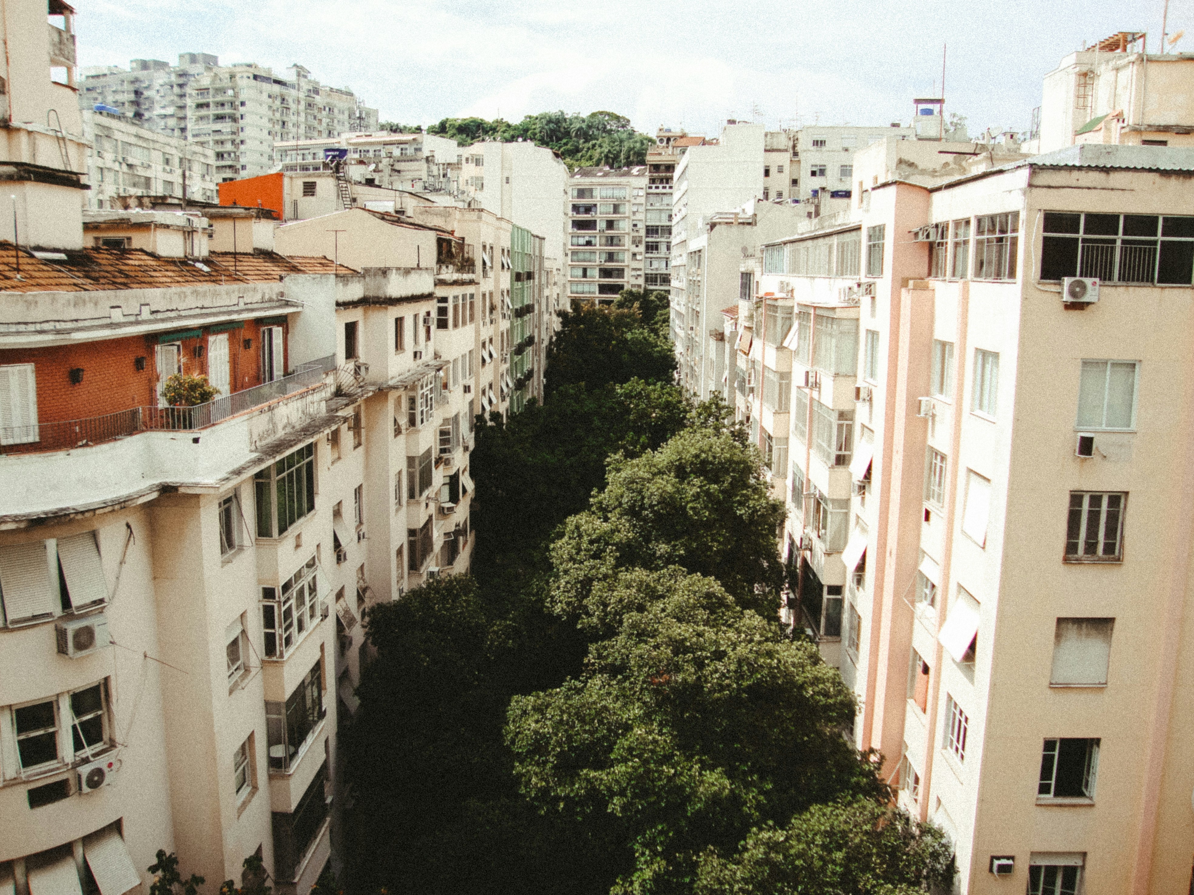 A street lined with trees and apartment buildings.