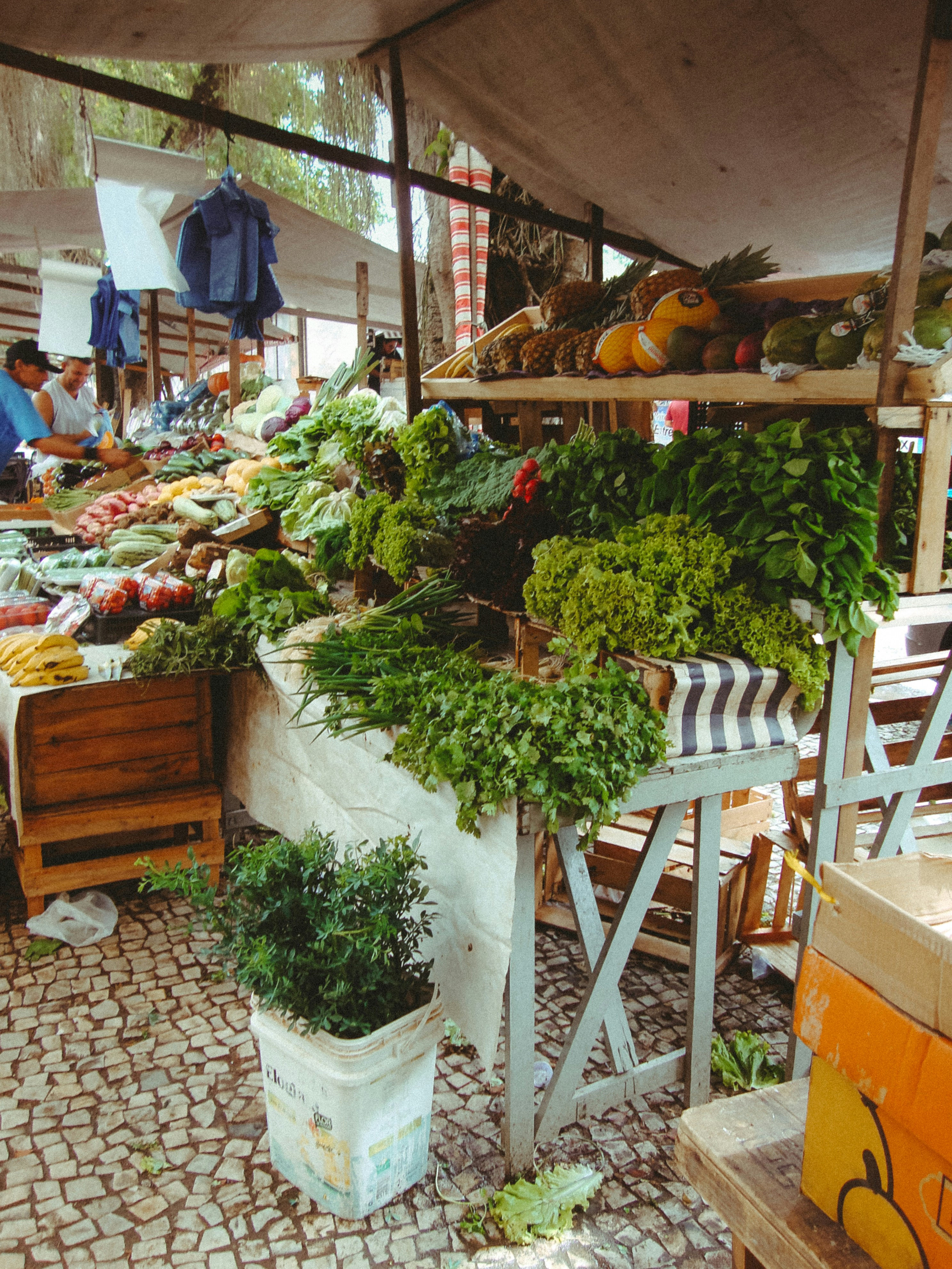 Fresh produce displayed at an outdoor market stall.