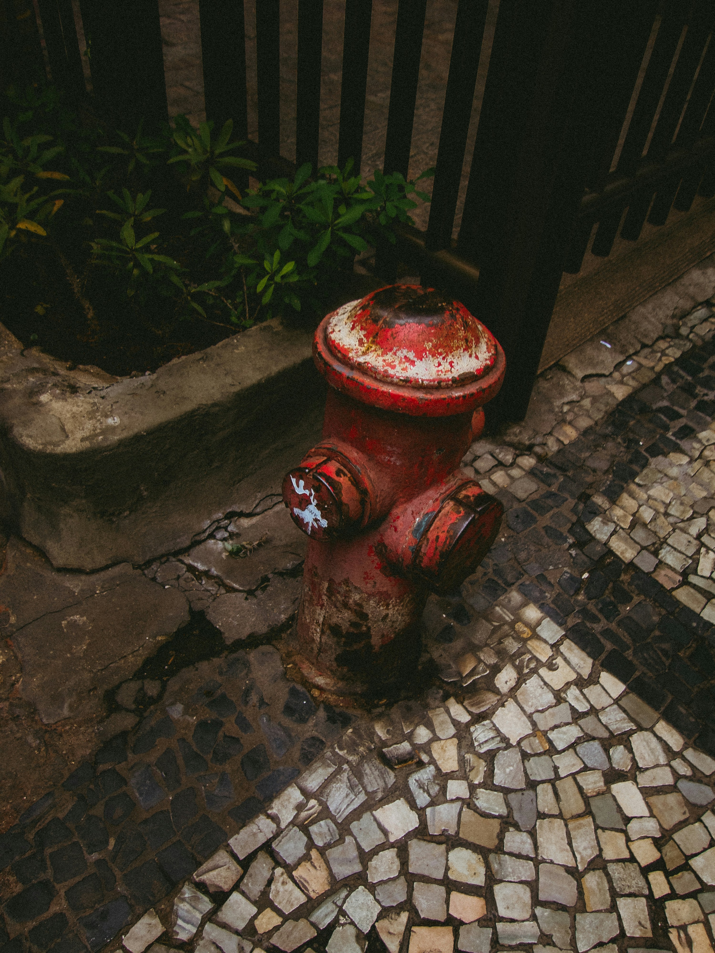 Photo by jonathanborba