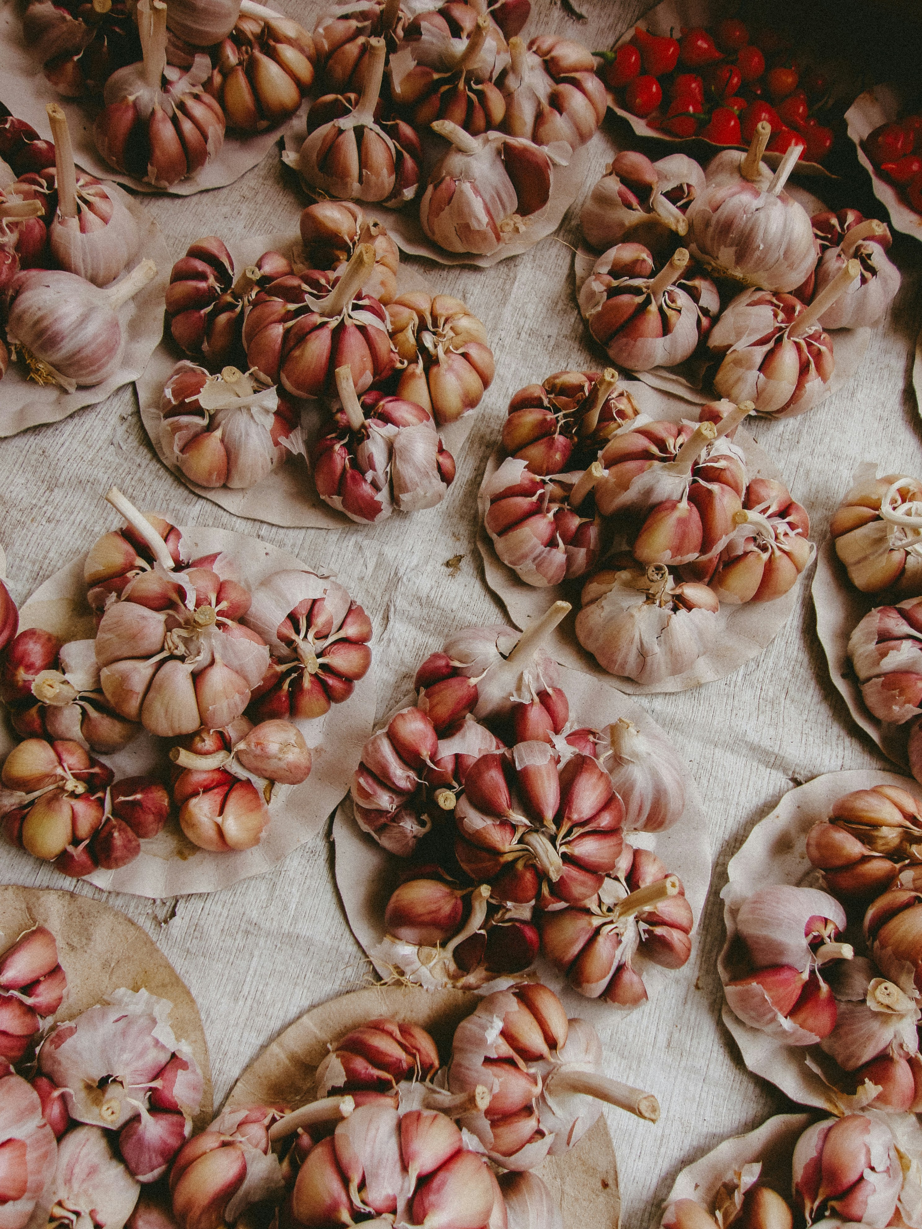 Fresh garlic bulbs displayed on a textured surface.