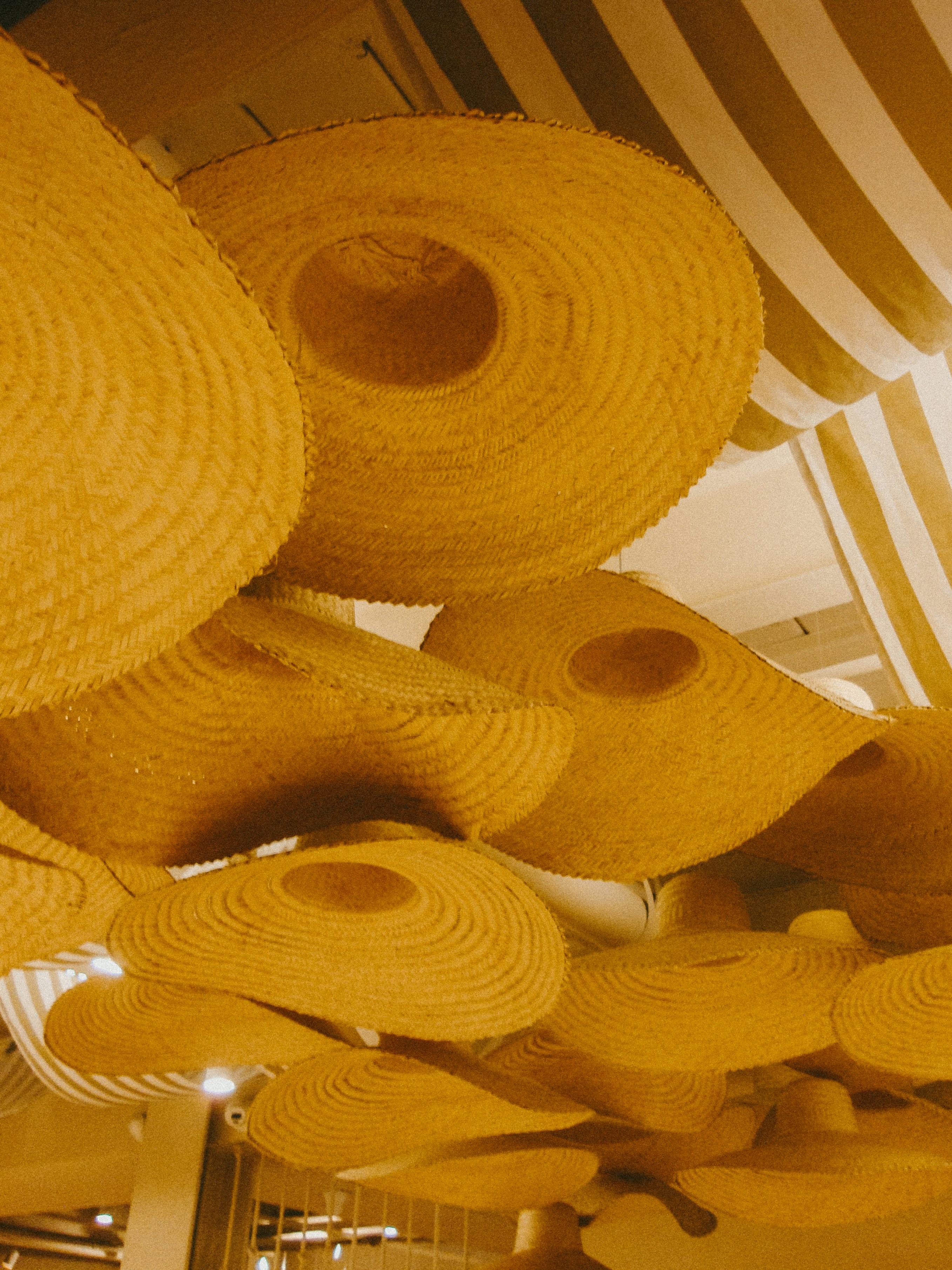 Many straw hats hanging from a ceiling