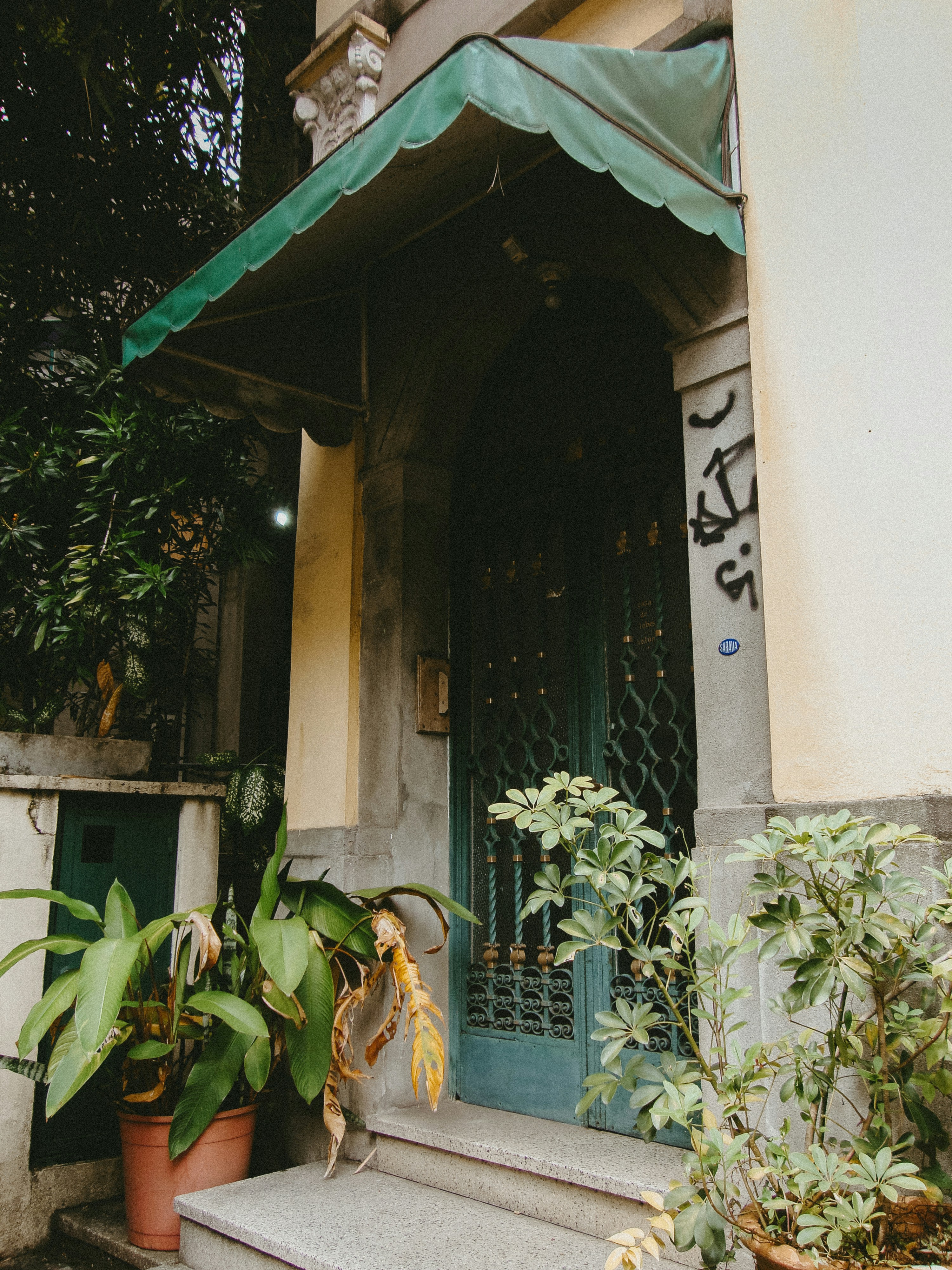 Green door with plants on steps
