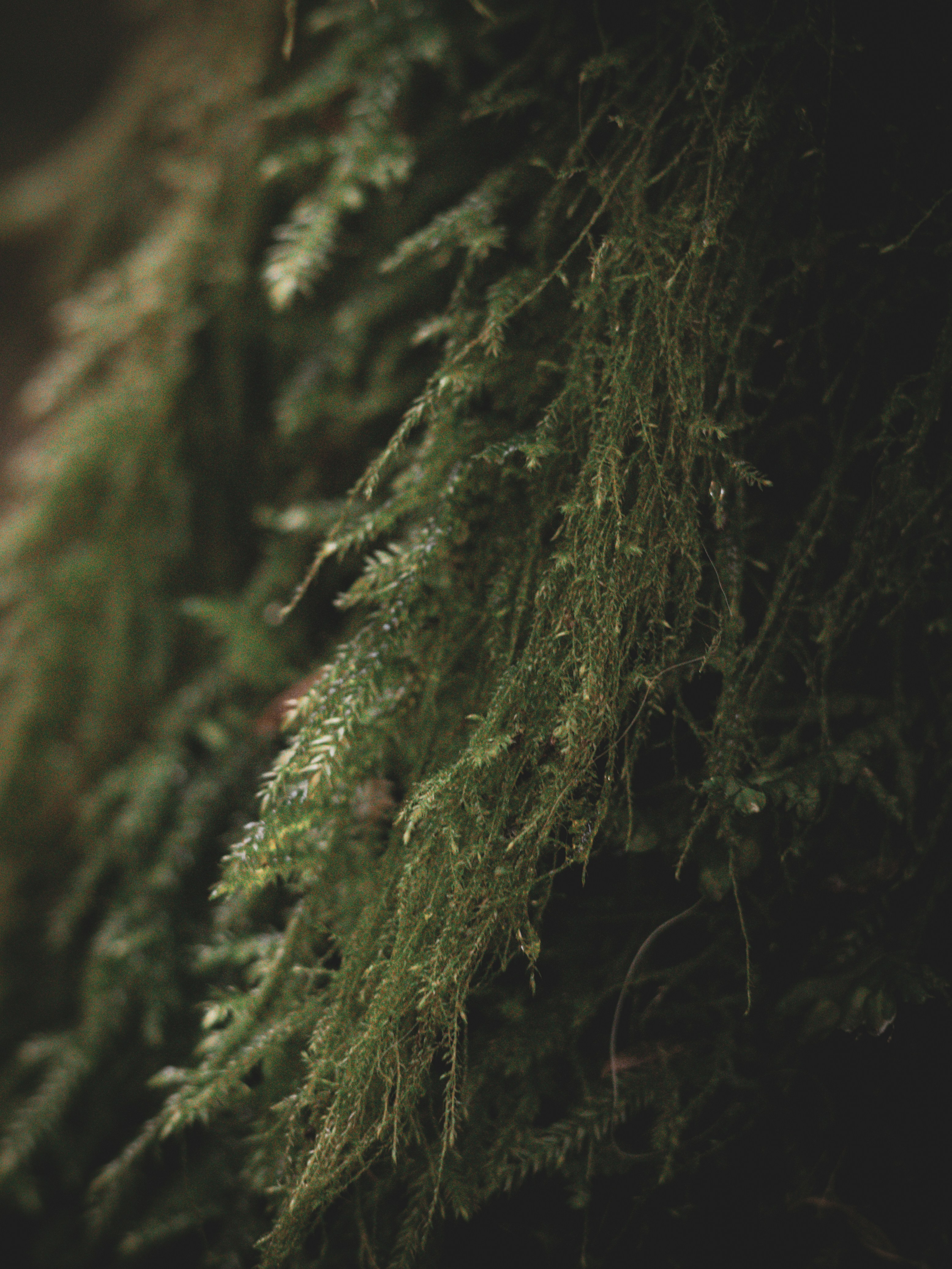 Photo by capturinginthewild