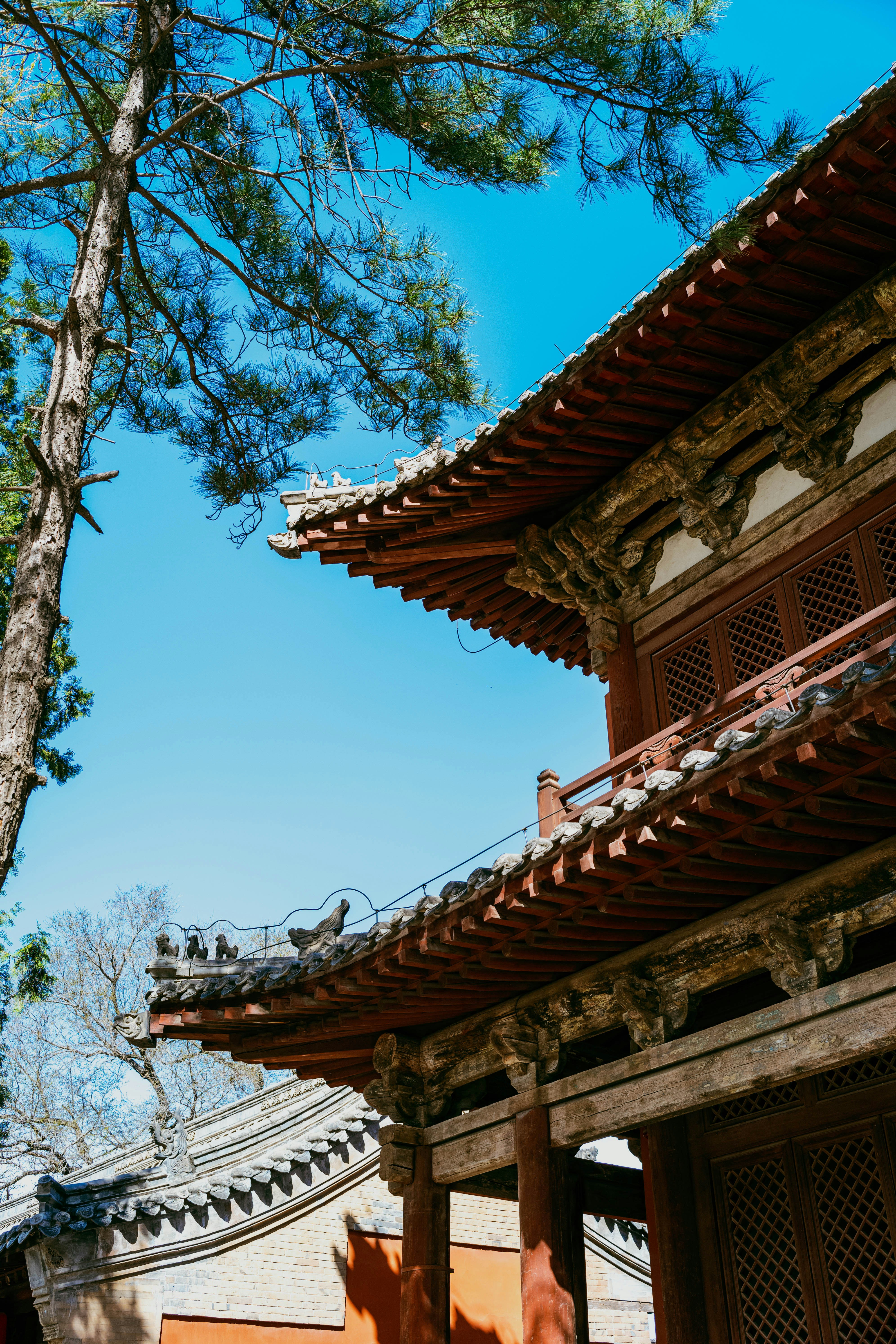Architettura tradizionale dei templi dell'Asia orientale con tetti in tegole.