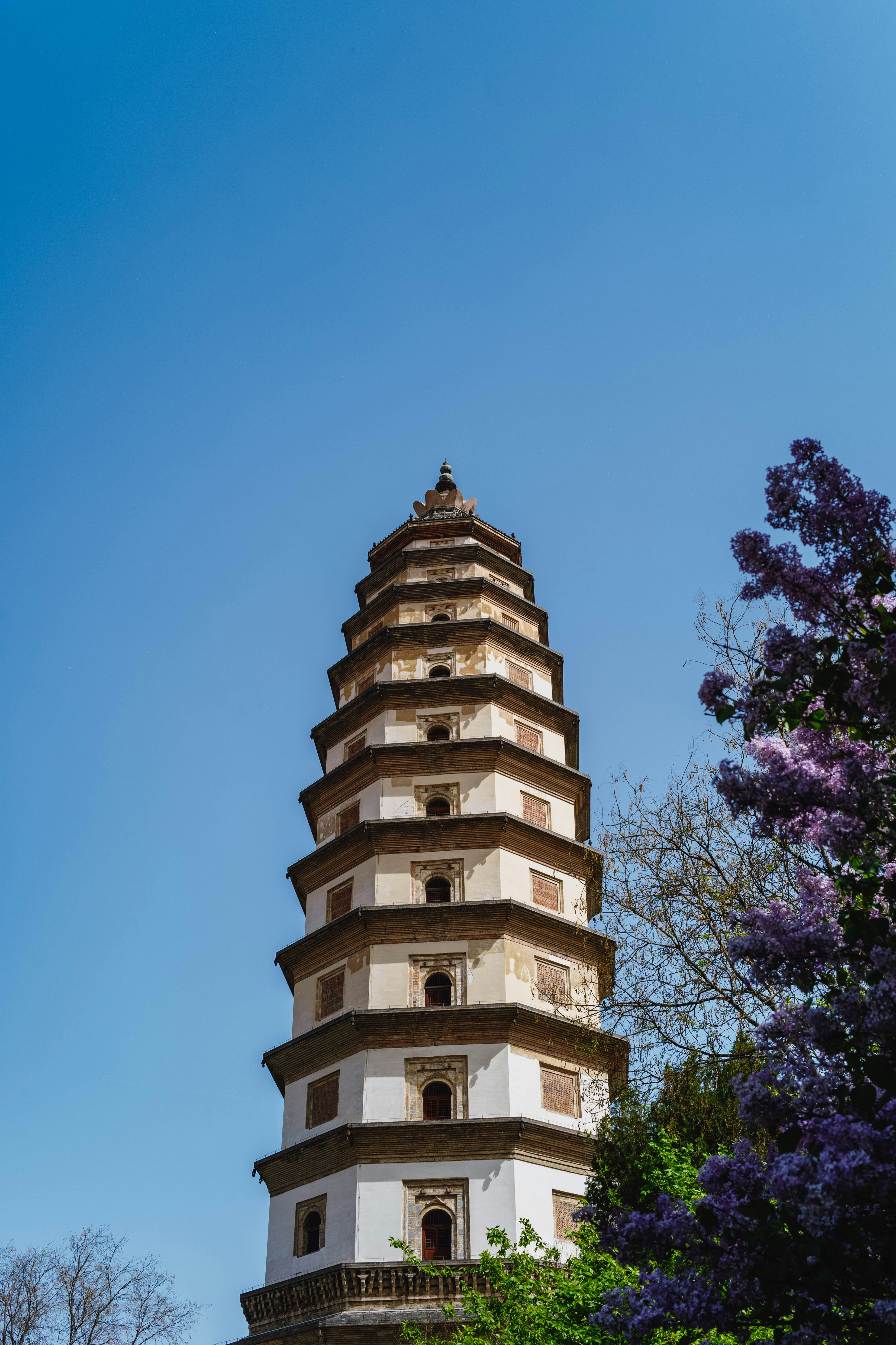 Alta torre pagoda con alberi fioriti contro un cielo azzurro