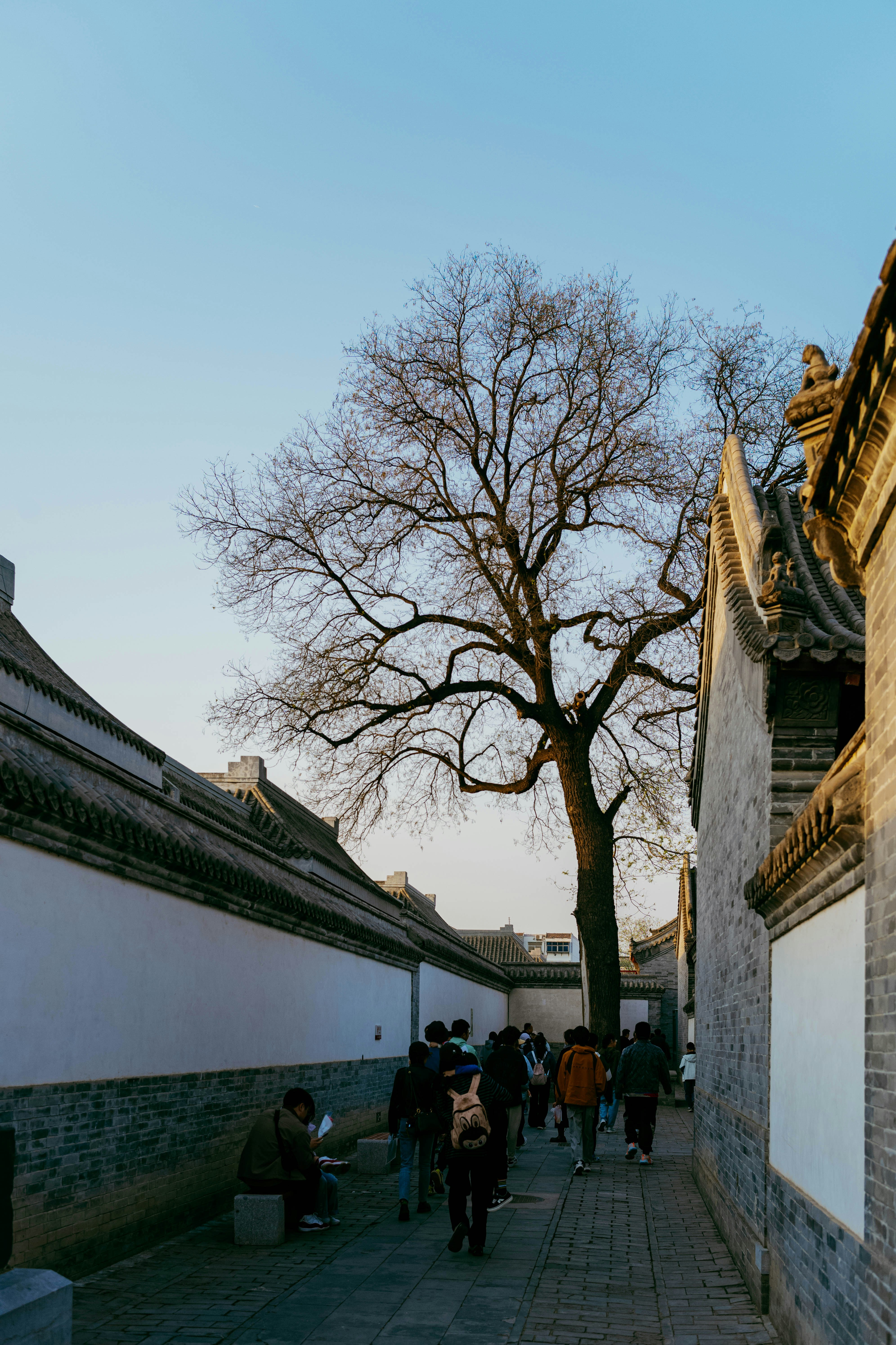 Photo by tommaomaoer