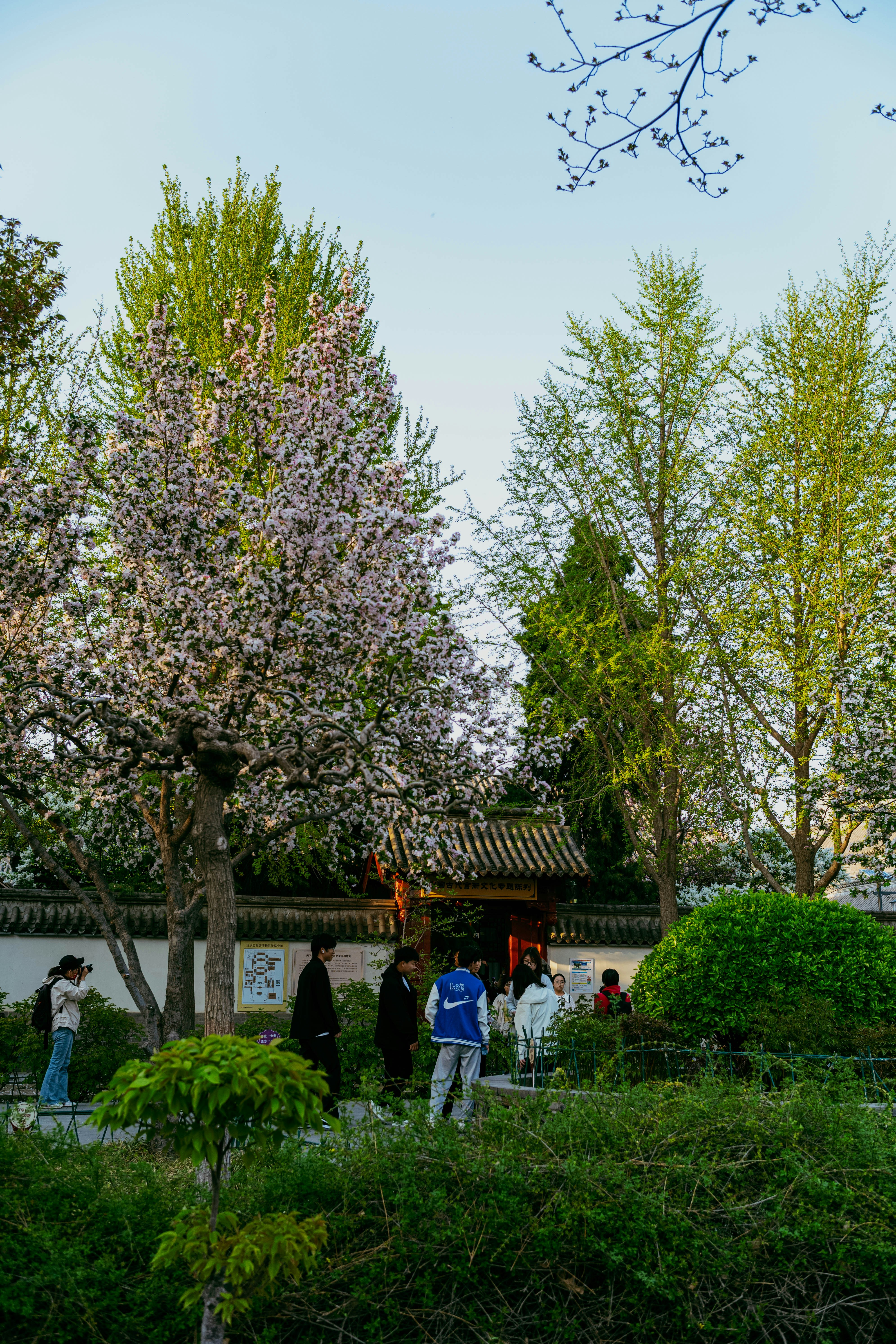 Photo by tommaomaoer