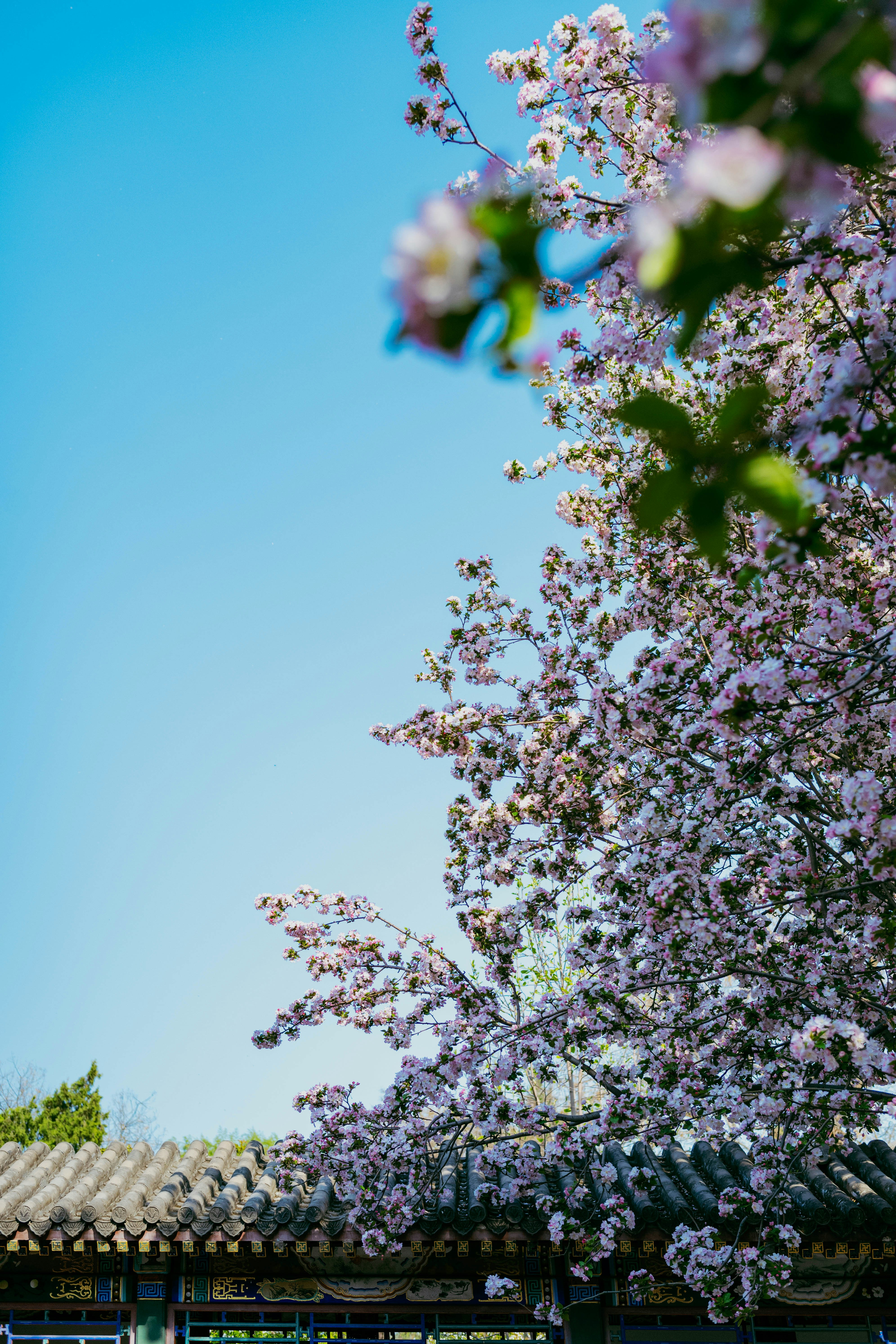 Photo by tommaomaoer