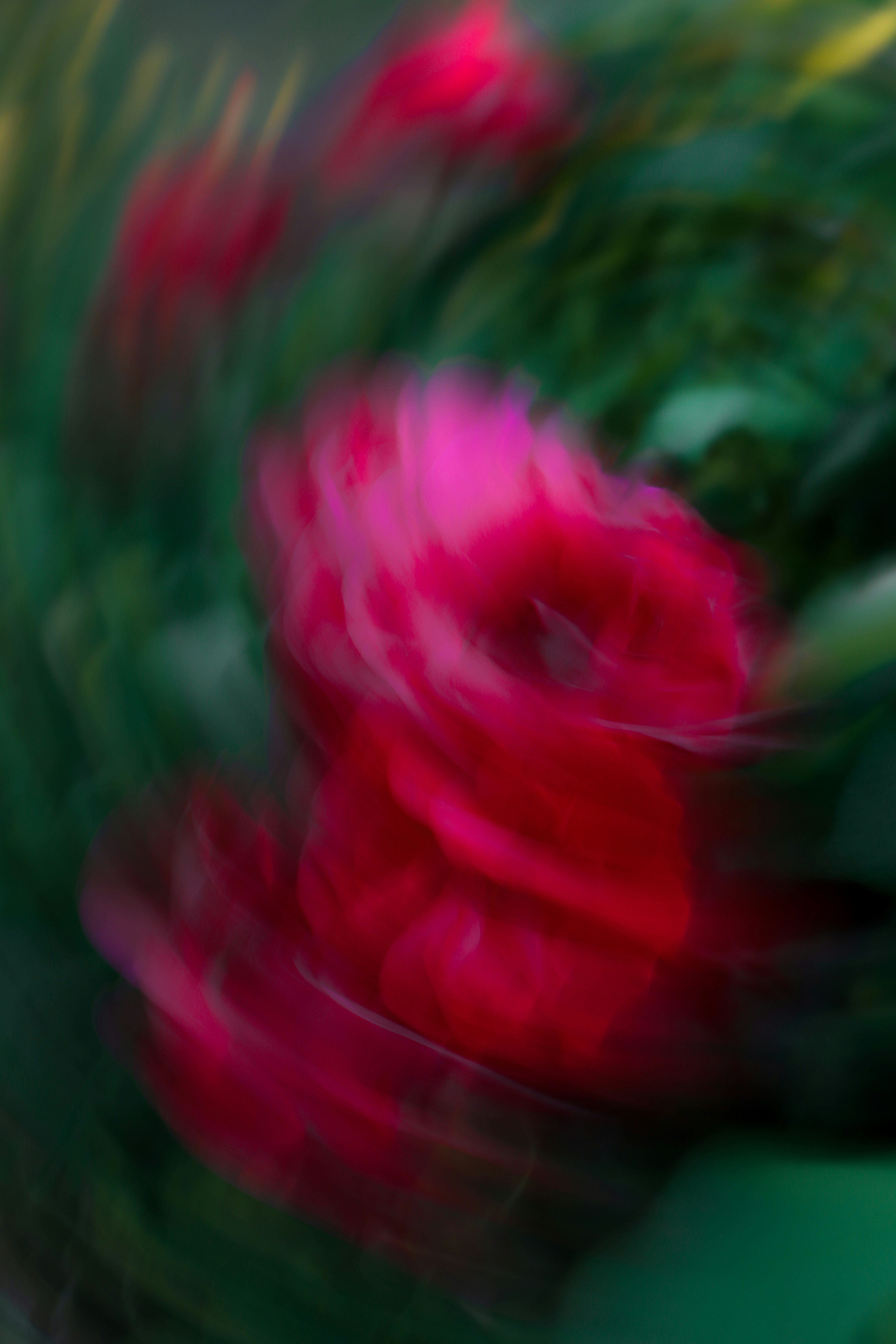 Flor vermelha abstrata com fundo verde