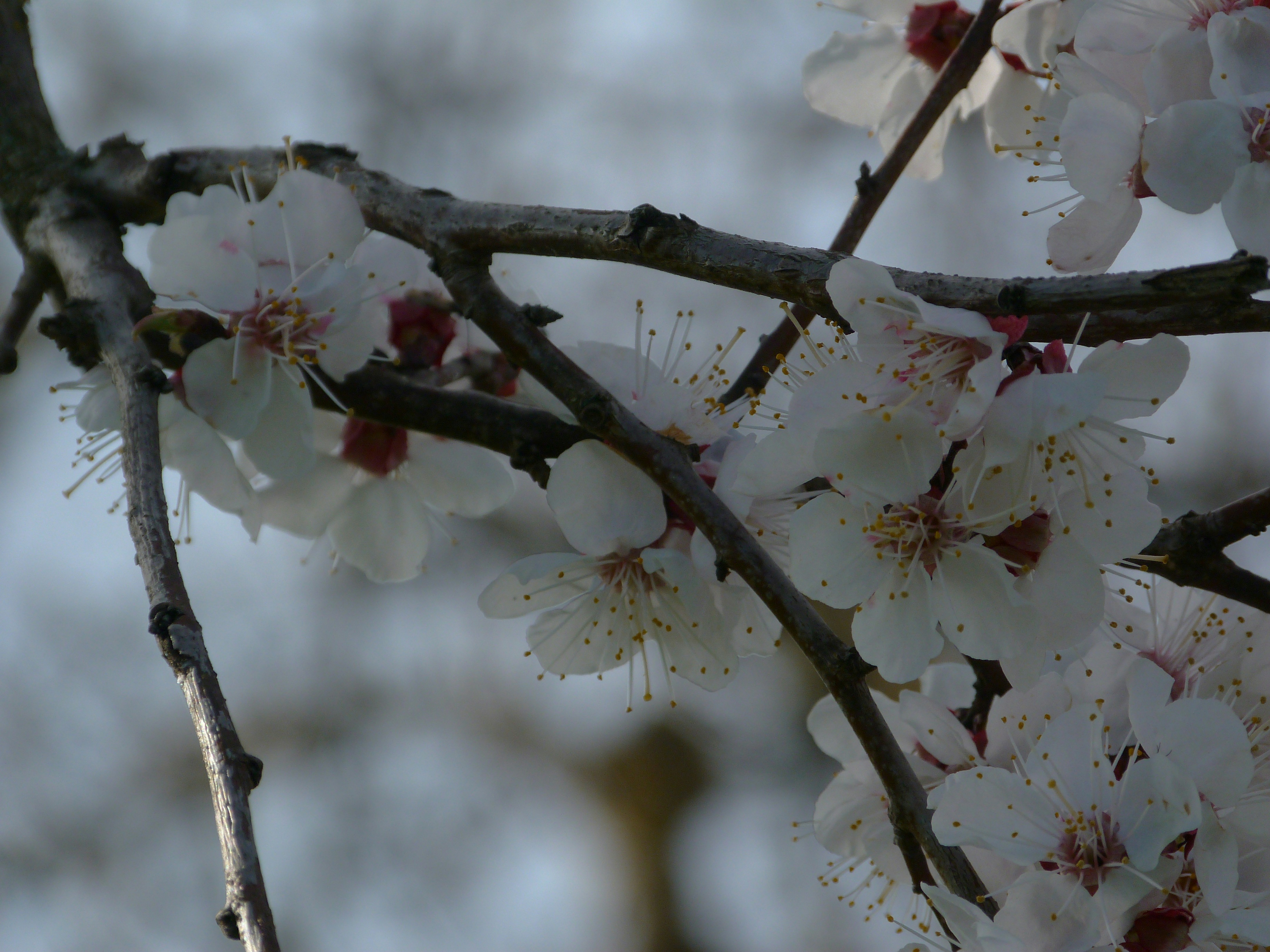 Photo by lisnoky