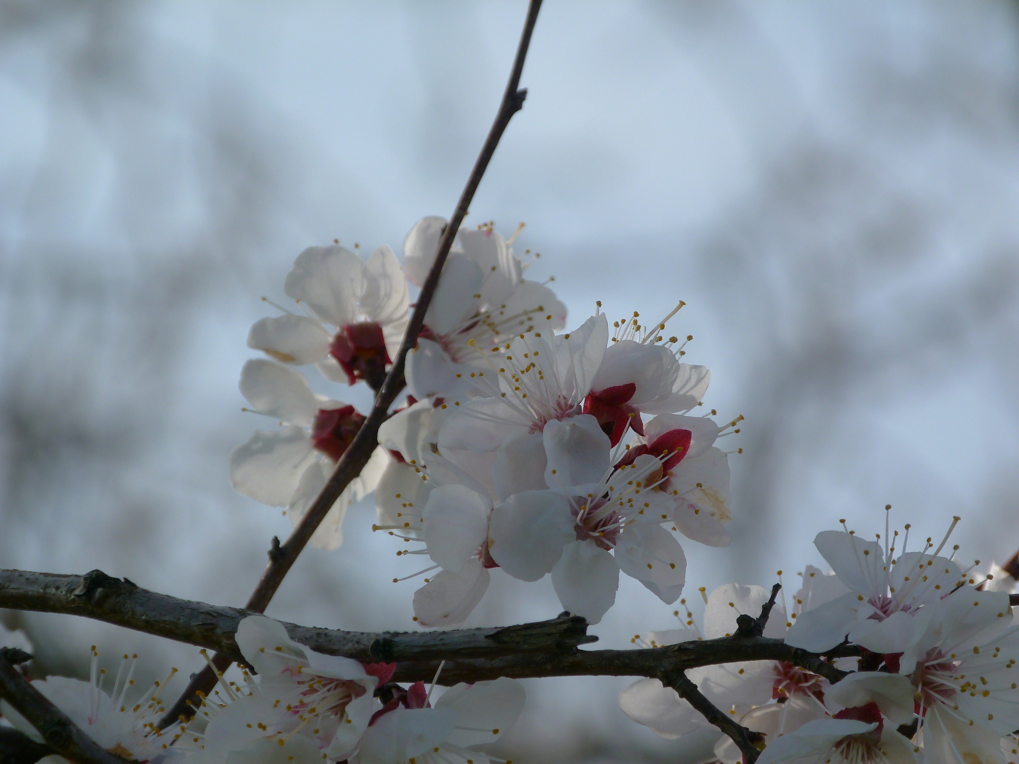 Photo by lisnoky