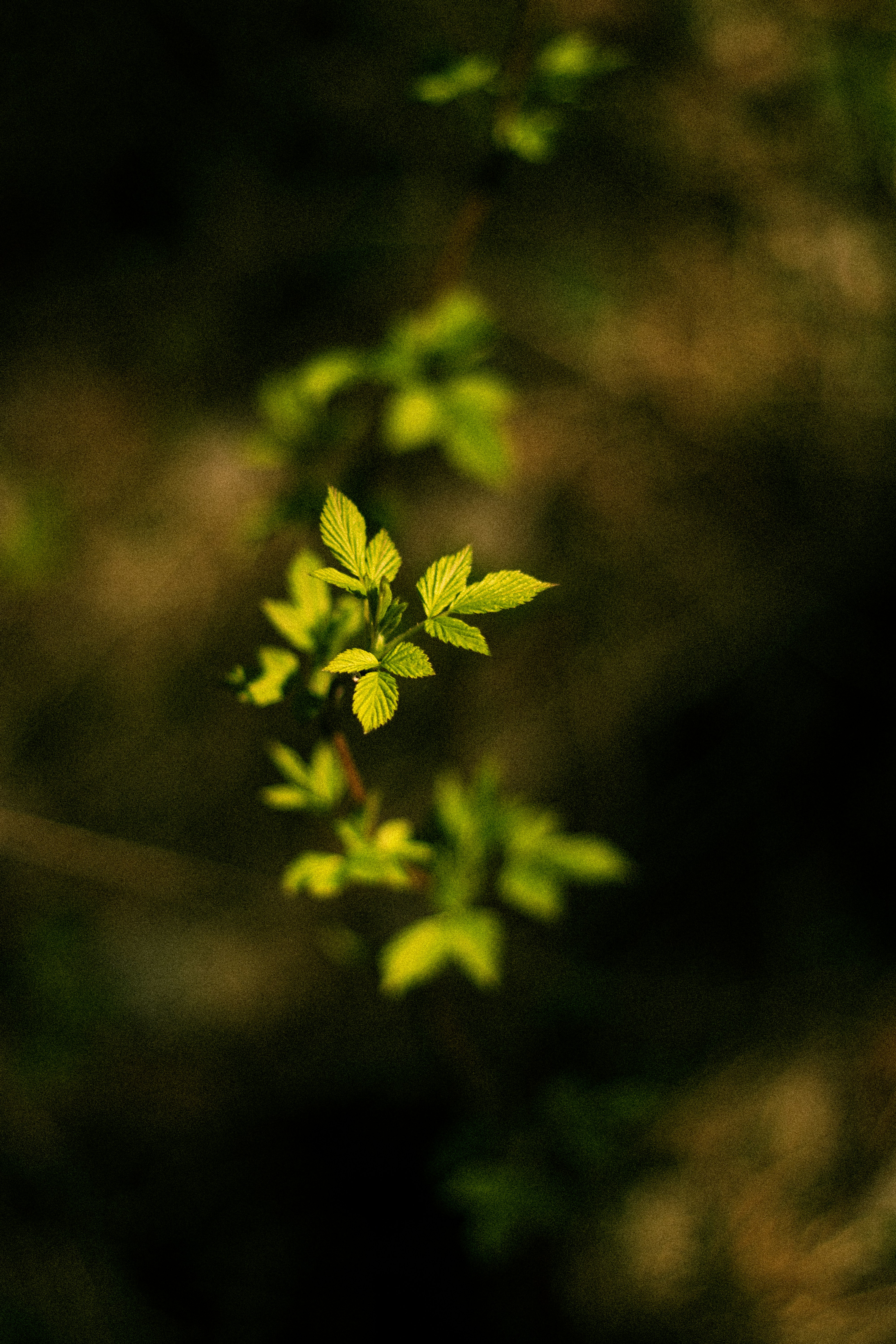 Photo by reinisbruzitis