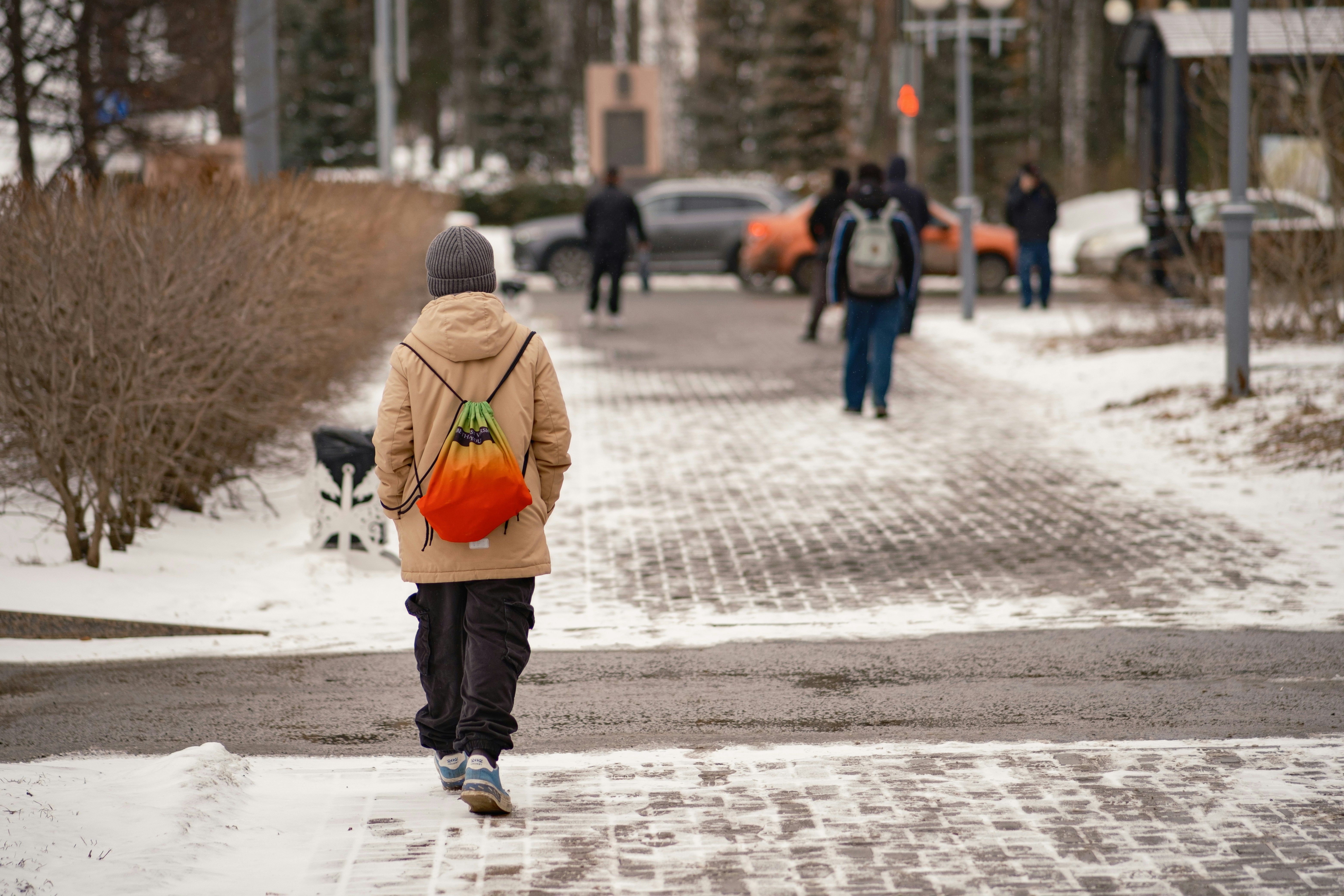 Una persona cammina su un sentiero innevato con alberi.