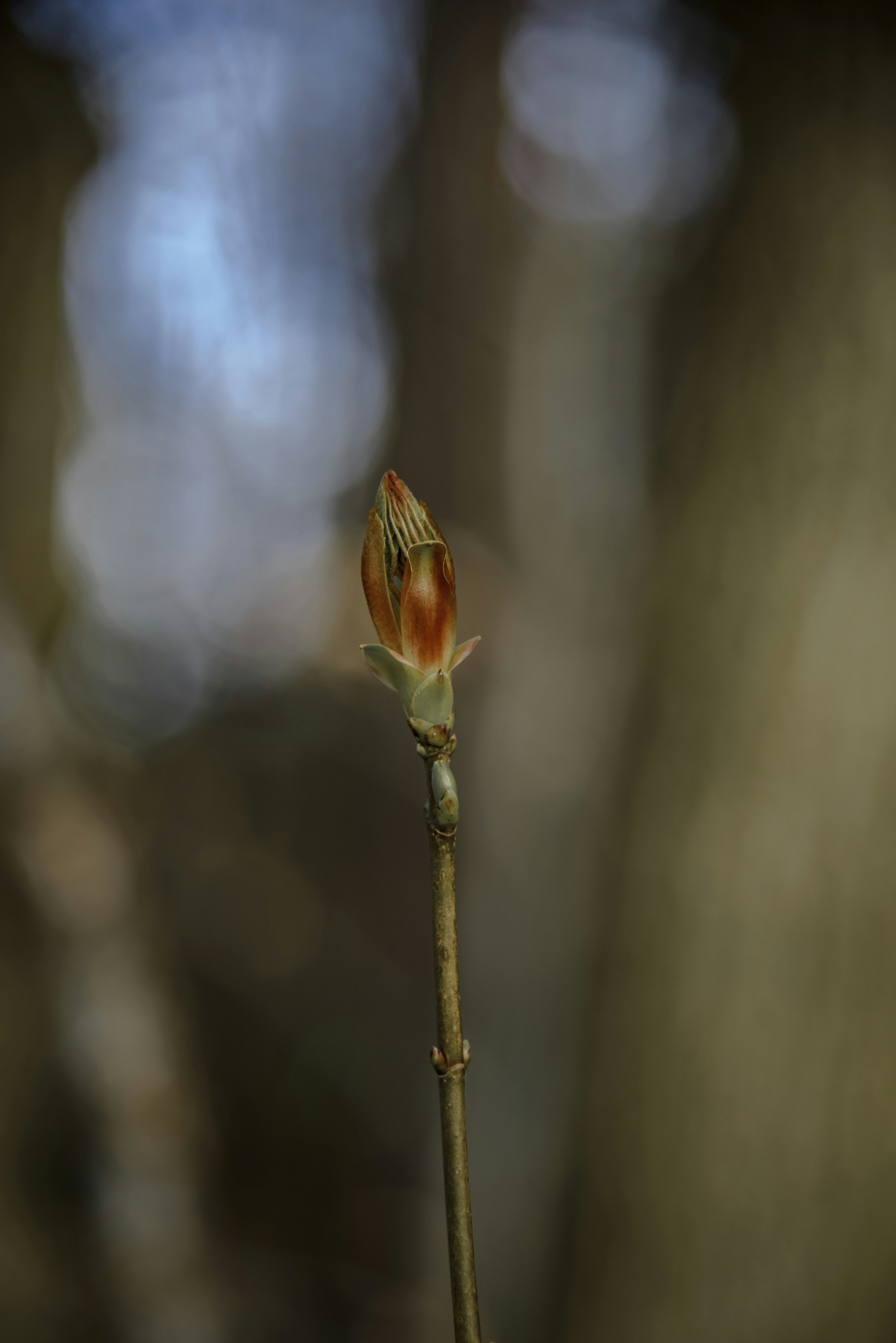 Photo by malwinanogaj