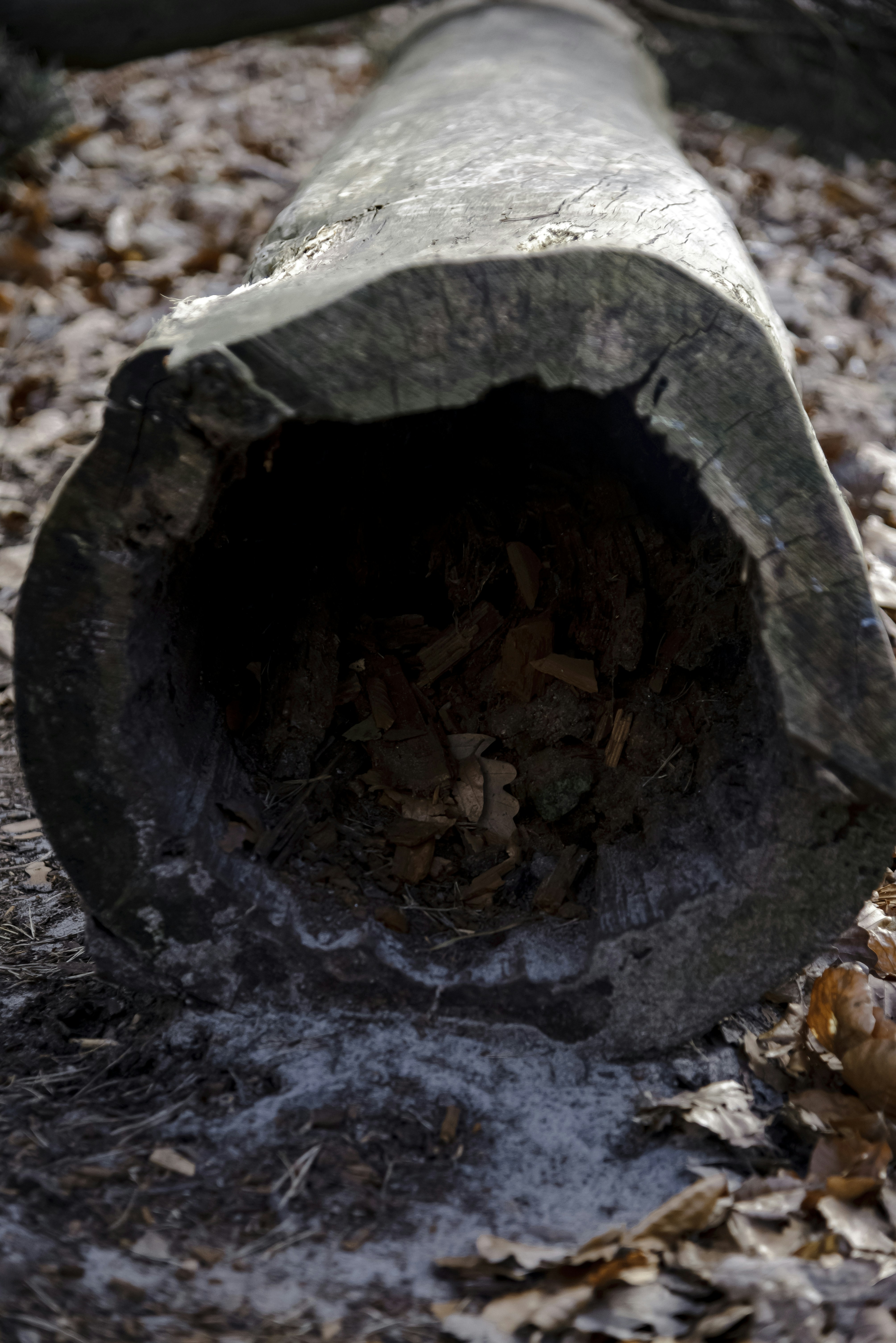 Photo by malwina nogaj on Unsplash