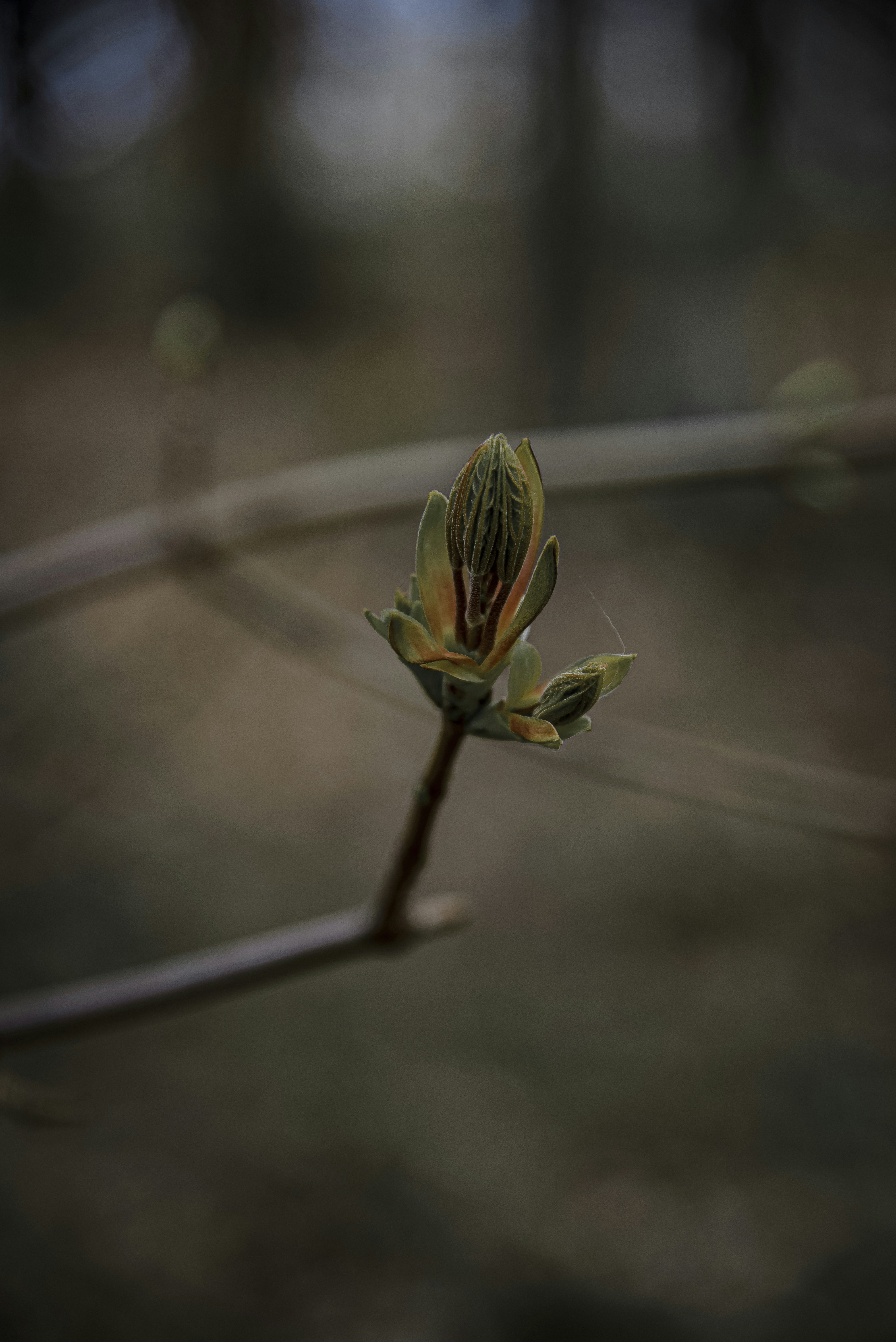 Photo by malwinanogaj