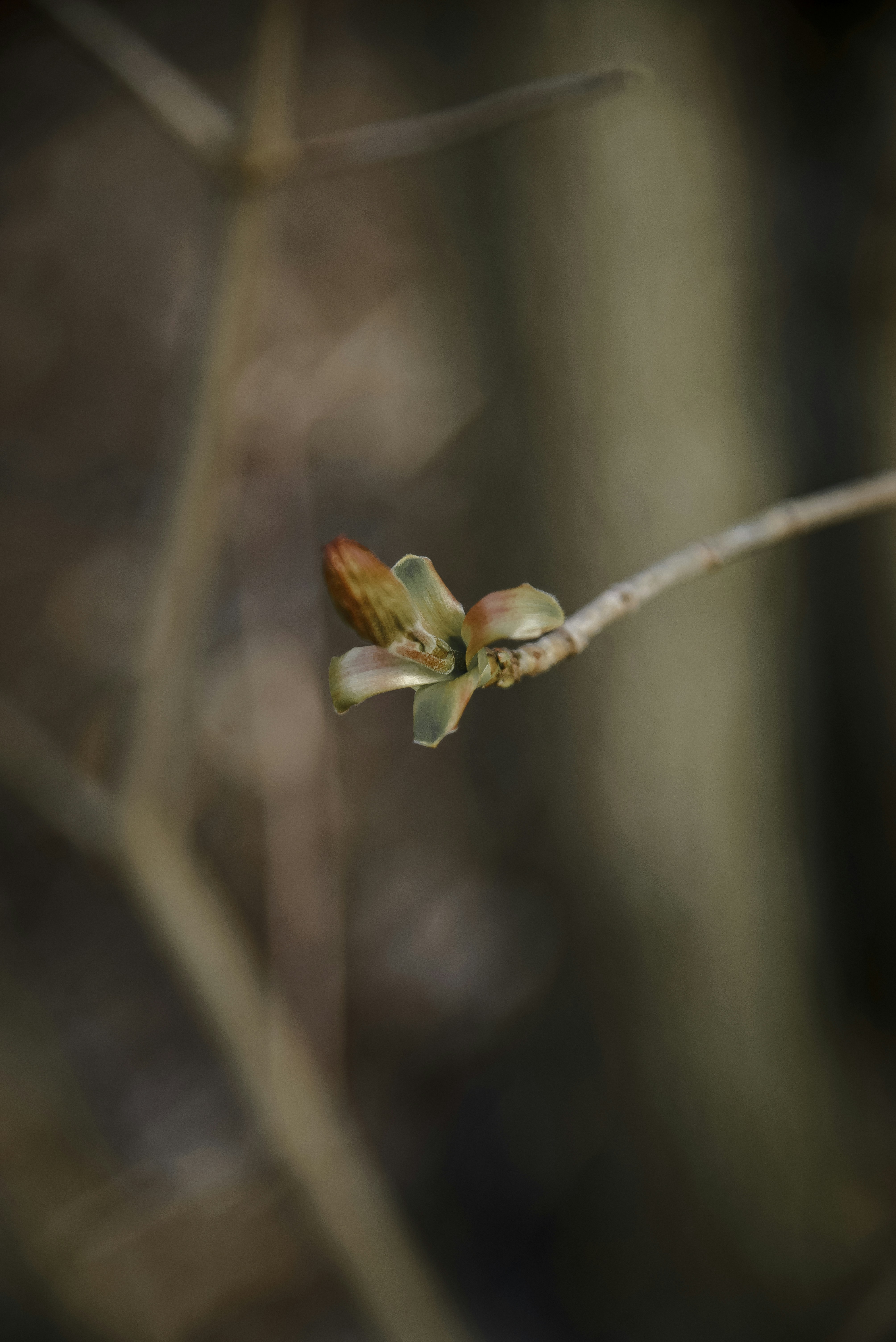 Photo by malwinanogaj