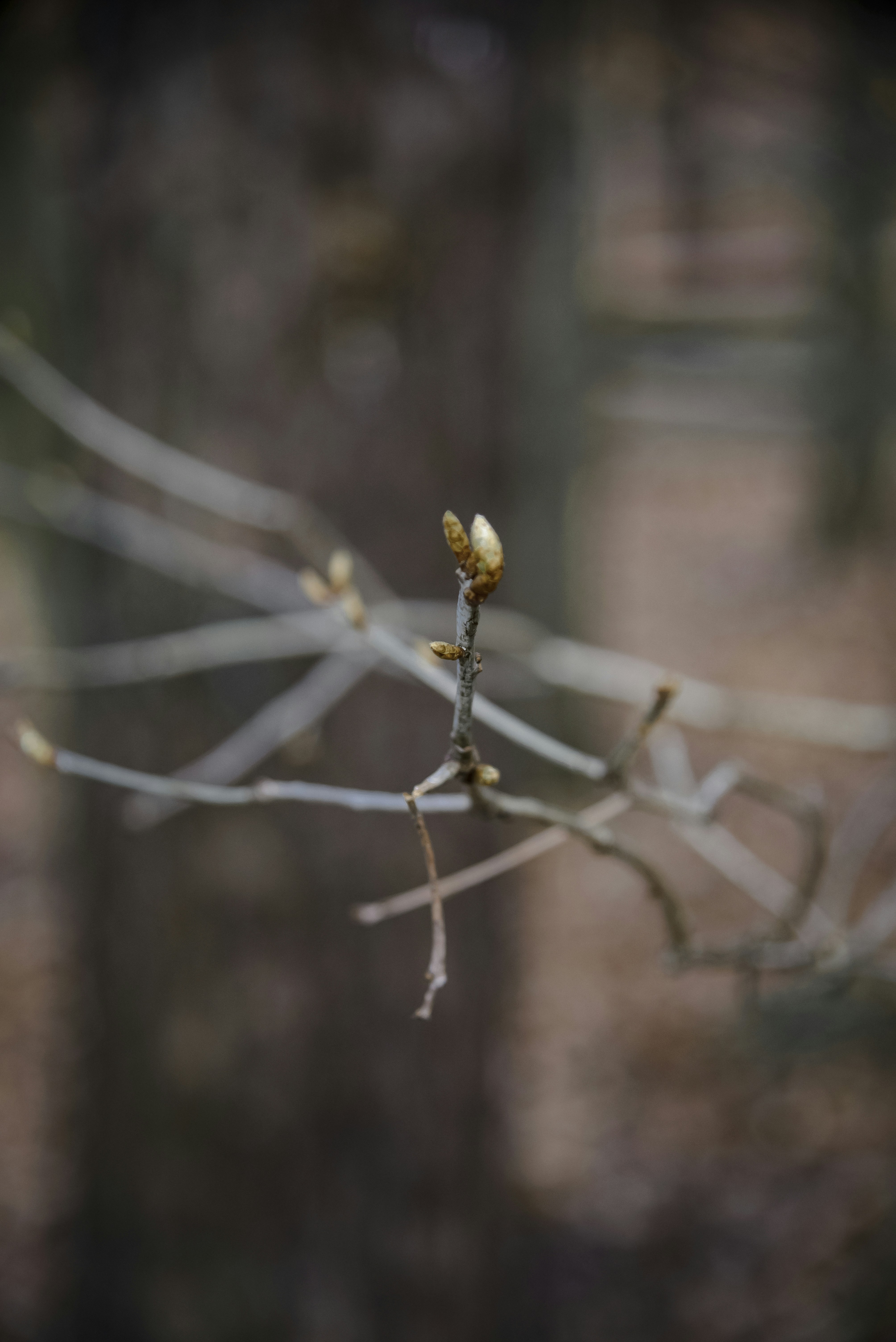 Photo by malwinanogaj