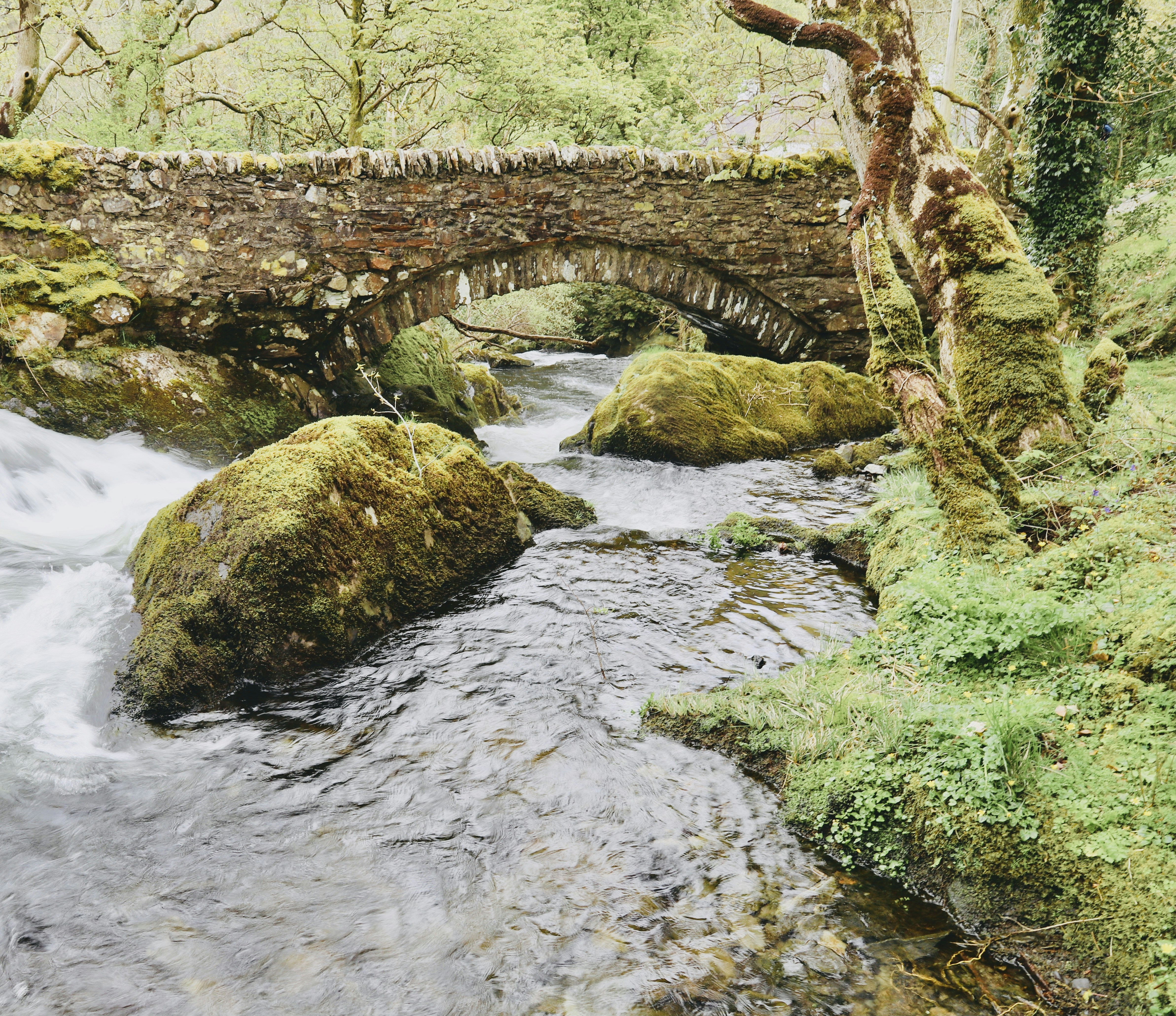 Pont de pierre sur un ruisseau qui coule dans une forêt