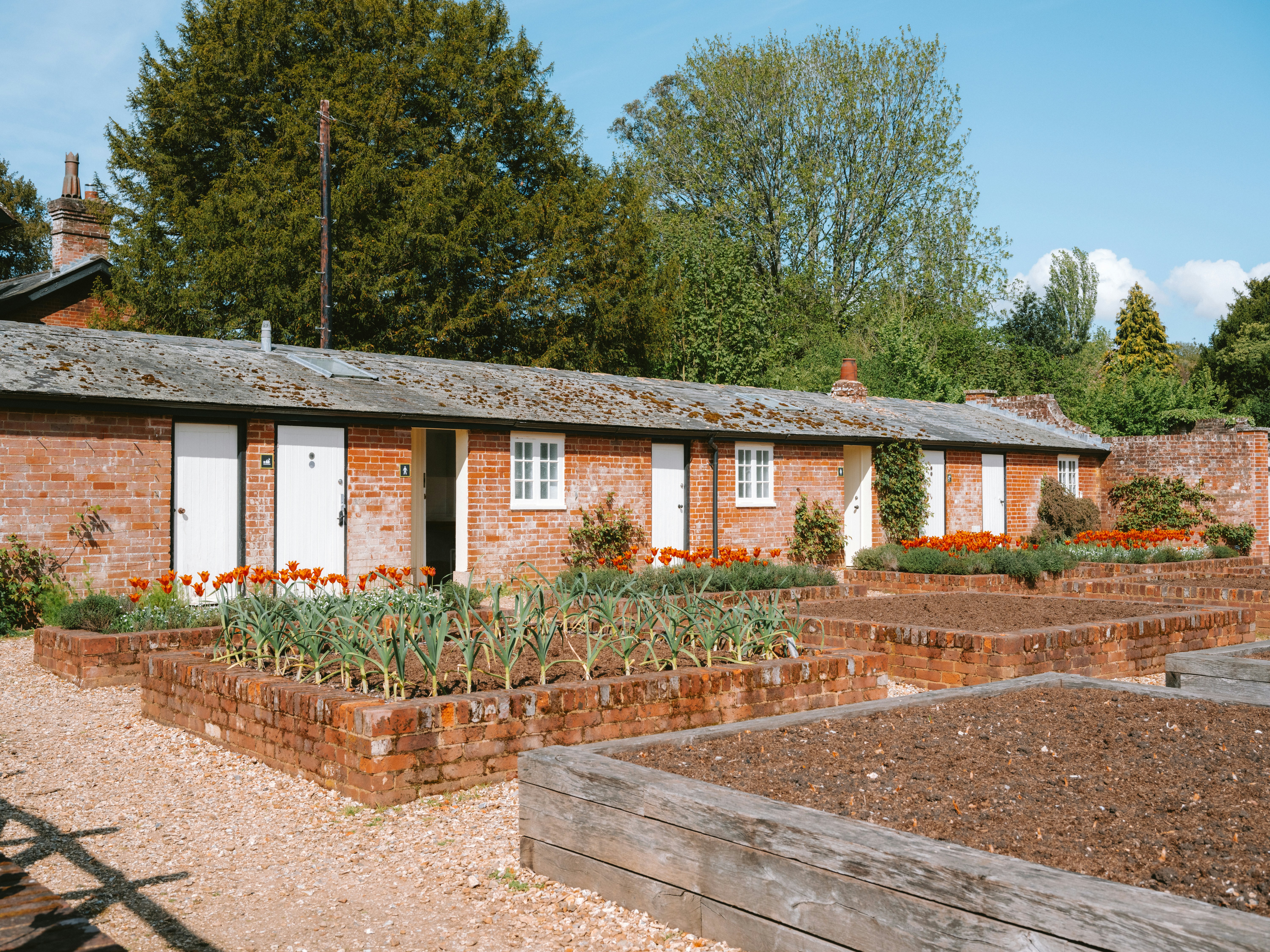 Brick building with garden beds and growing vegetables