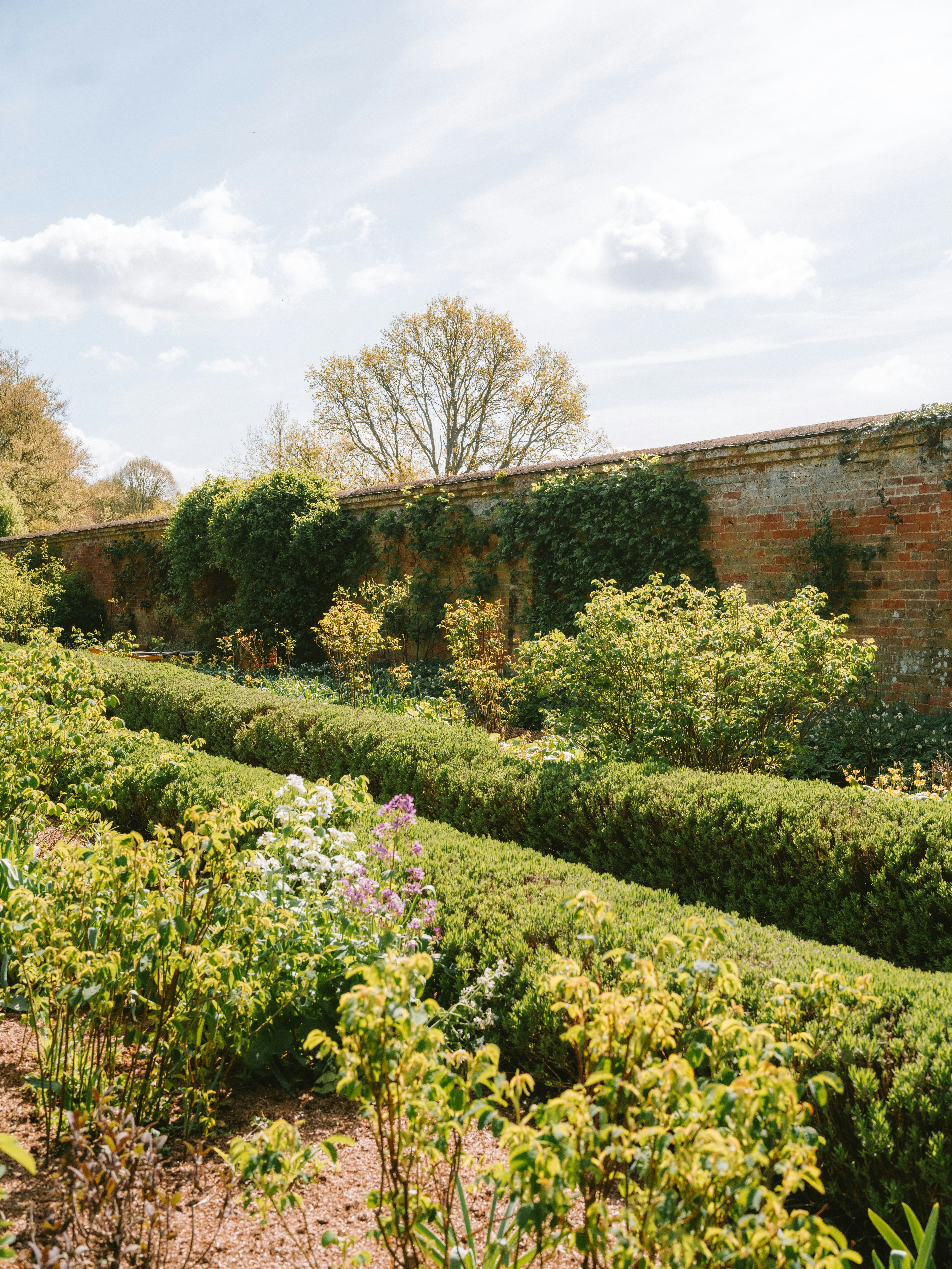 Photo by anniespratt
