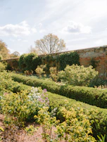 A manicured garden with a brick wall and trees.