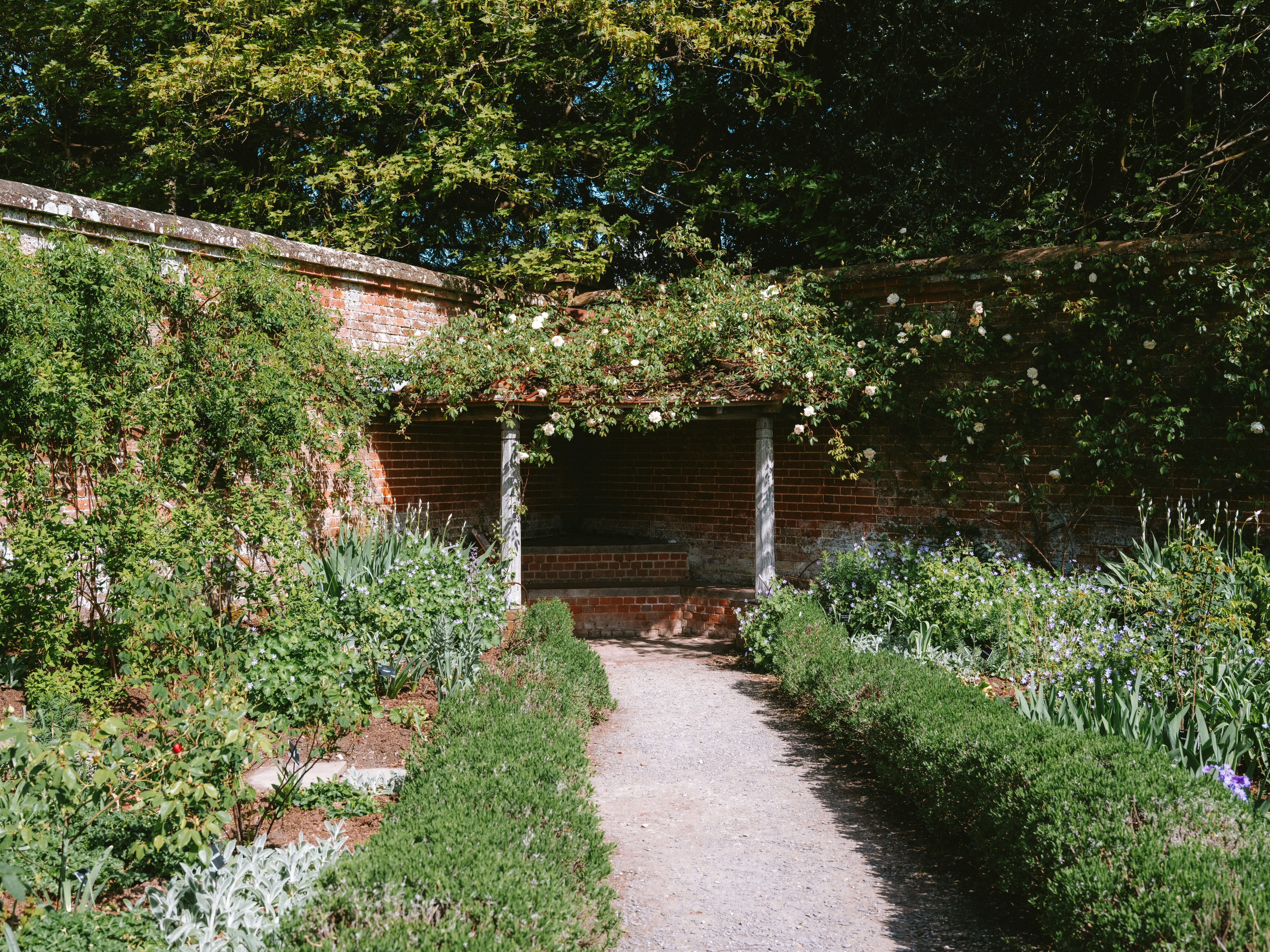 Photo by anniespratt