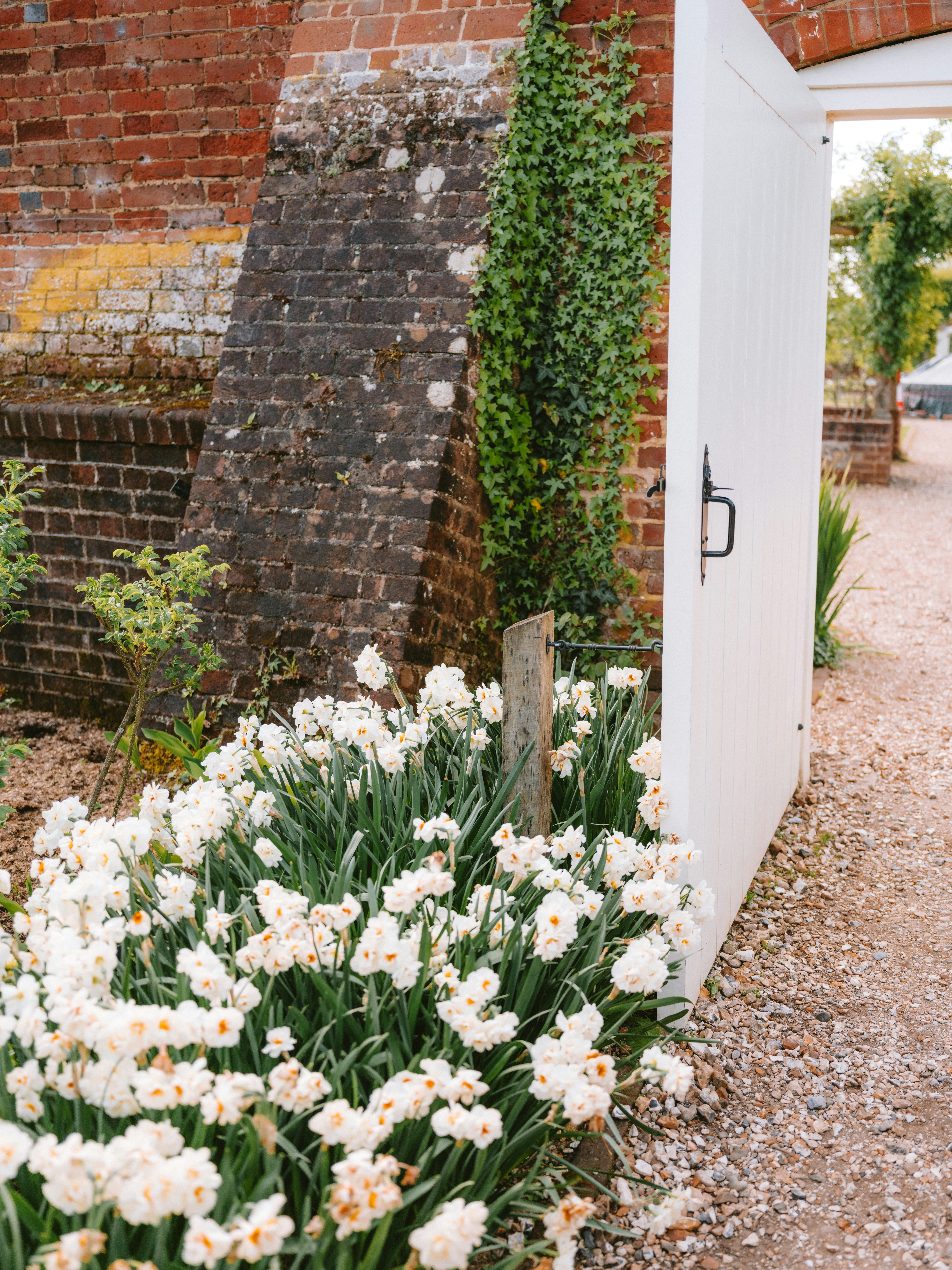 beautiful garden gate