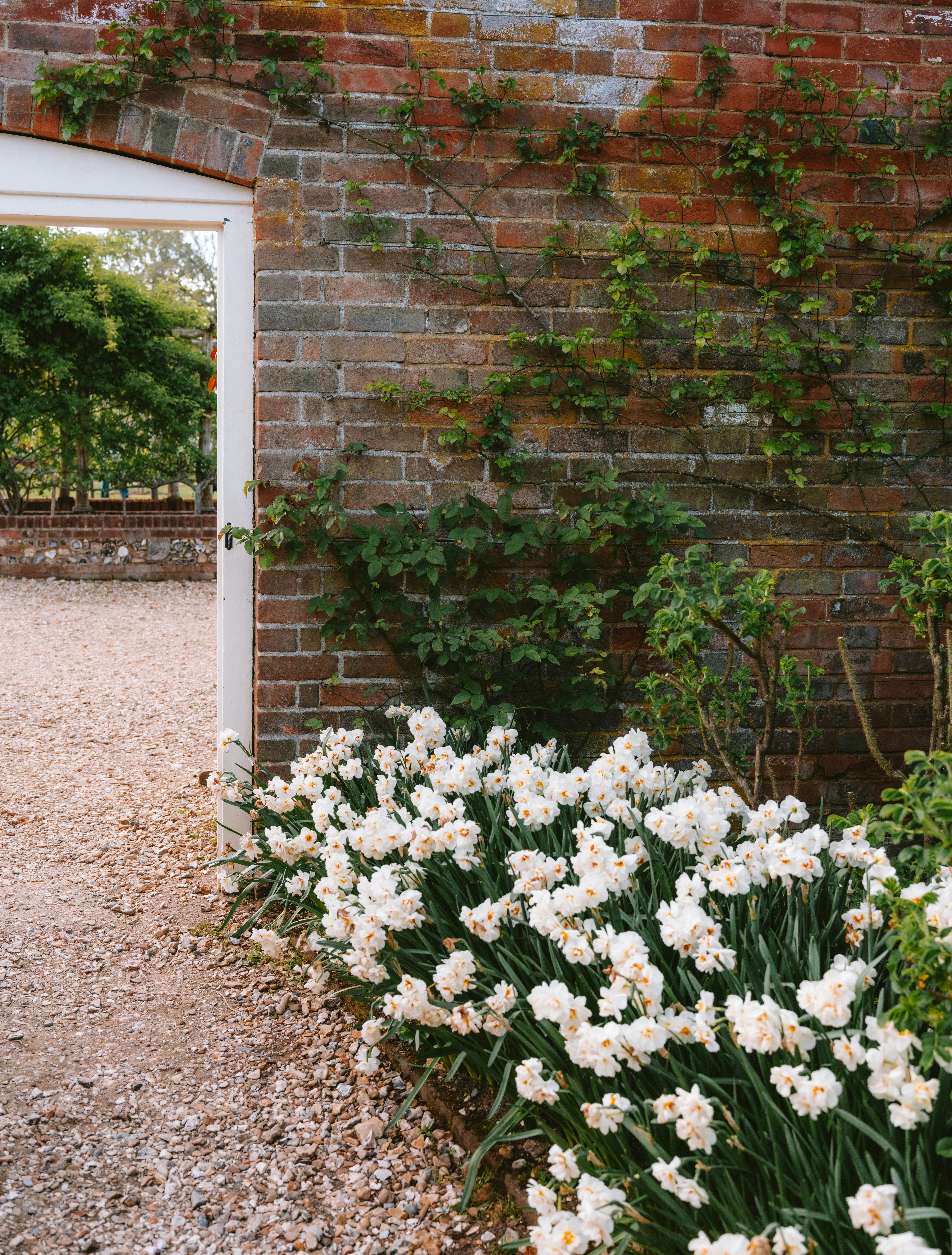 Photo by anniespratt