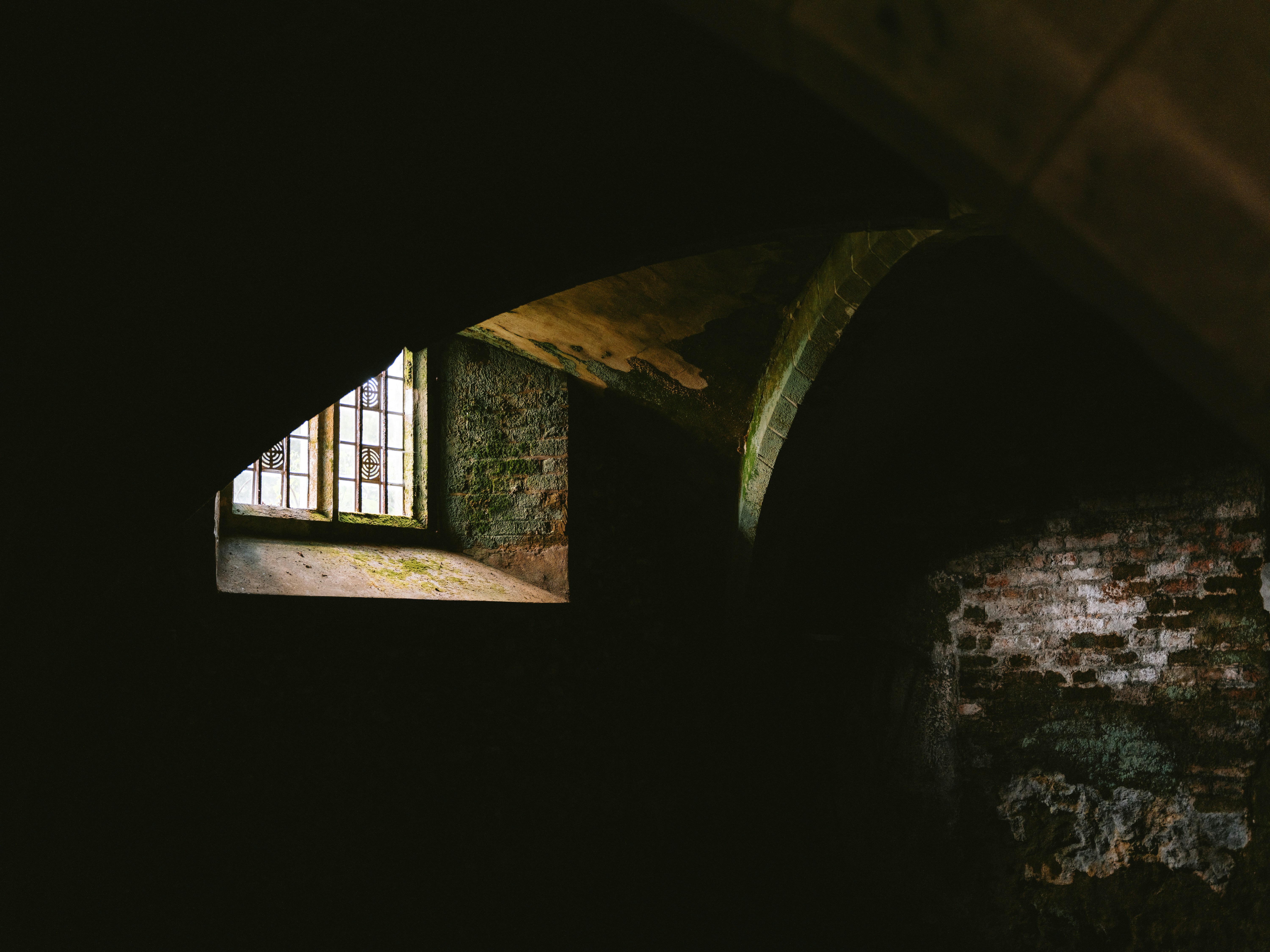Photo by anniespratt