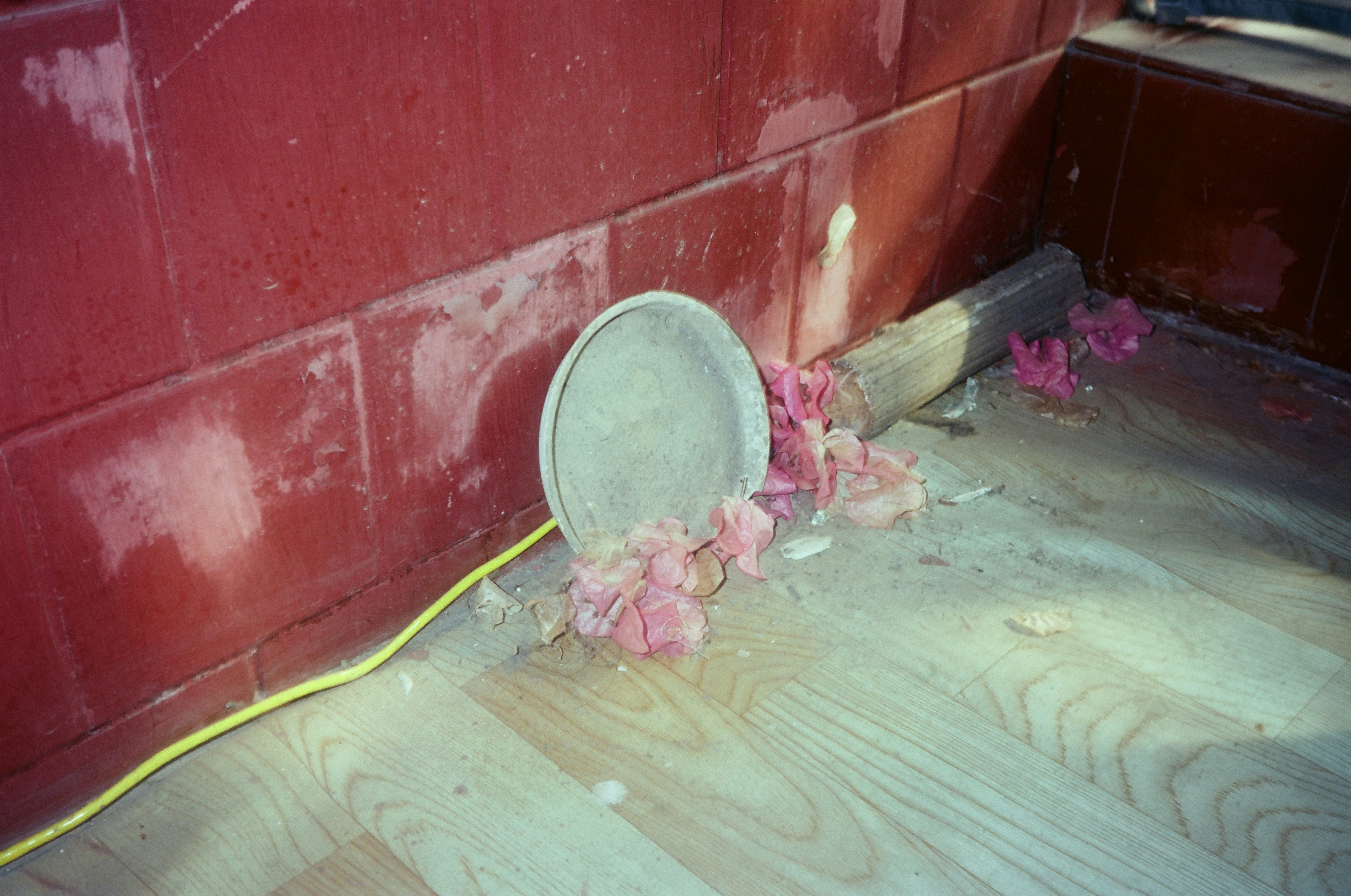 Pink flowers spill from a tipped bowl on wooden floor.