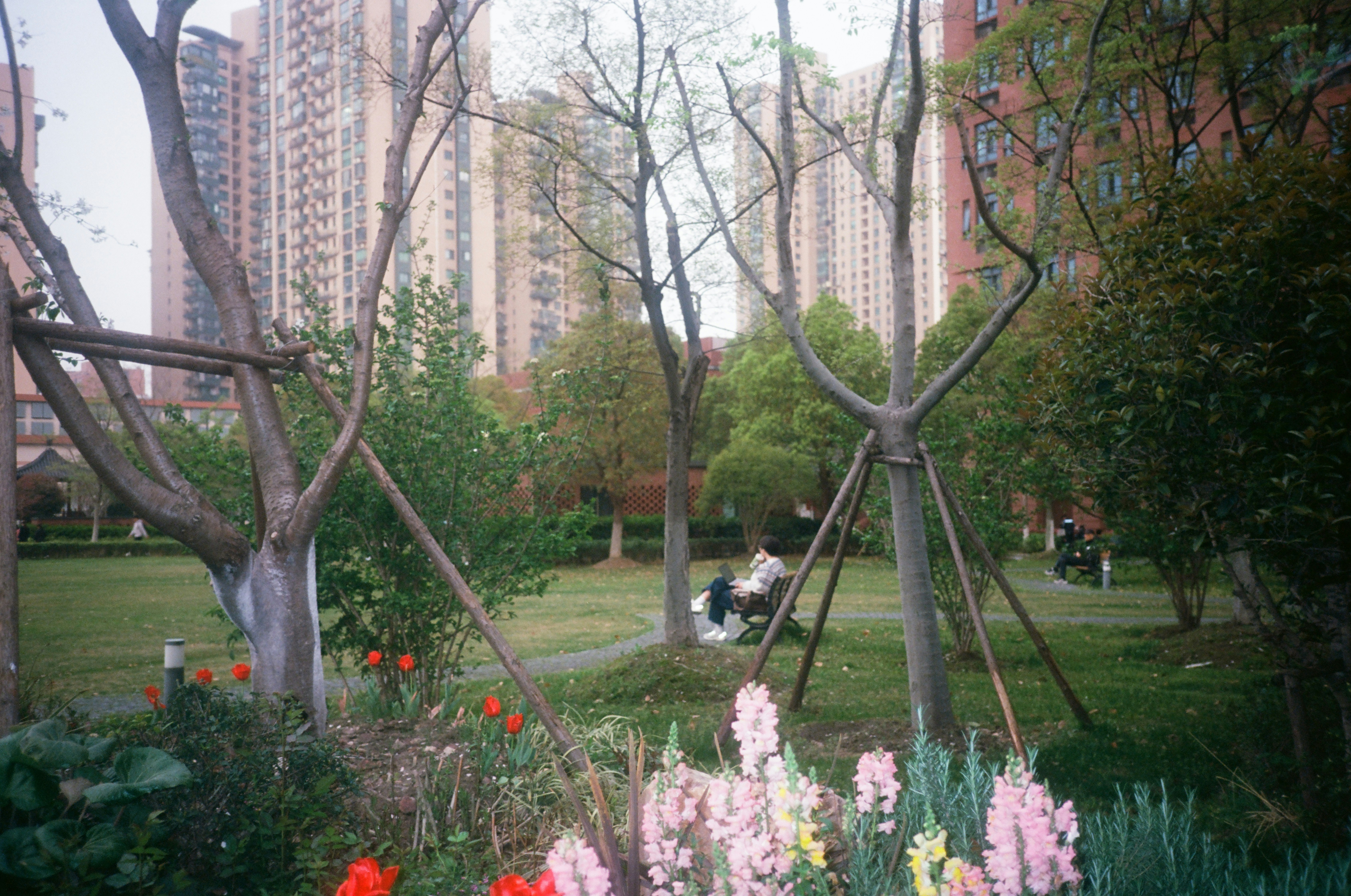 A pet-friendly apartment park with residents and their dogs - apartment for rent with jacuzzi