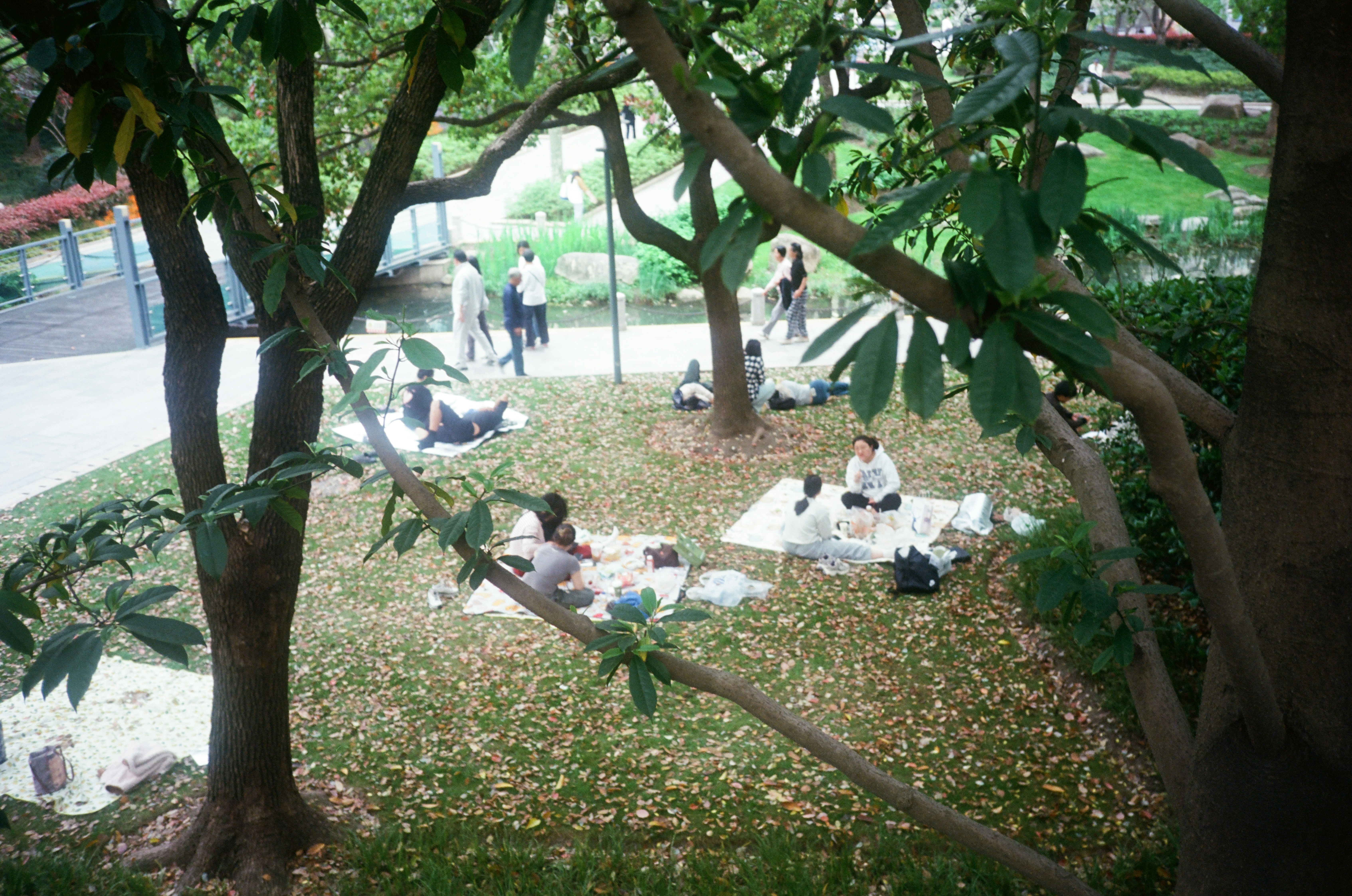 ABC Montessori